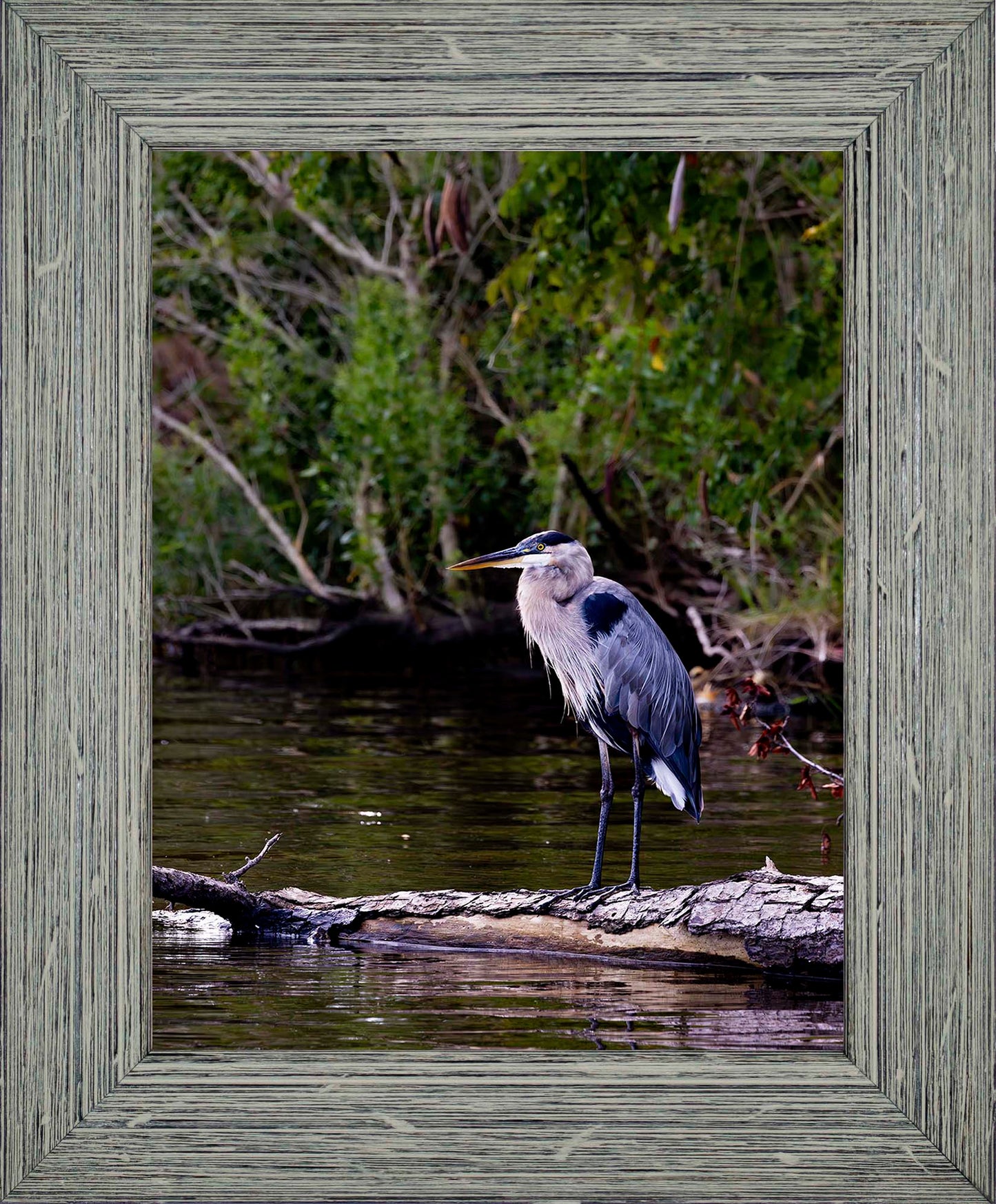 The Surveyor -- Digital Print