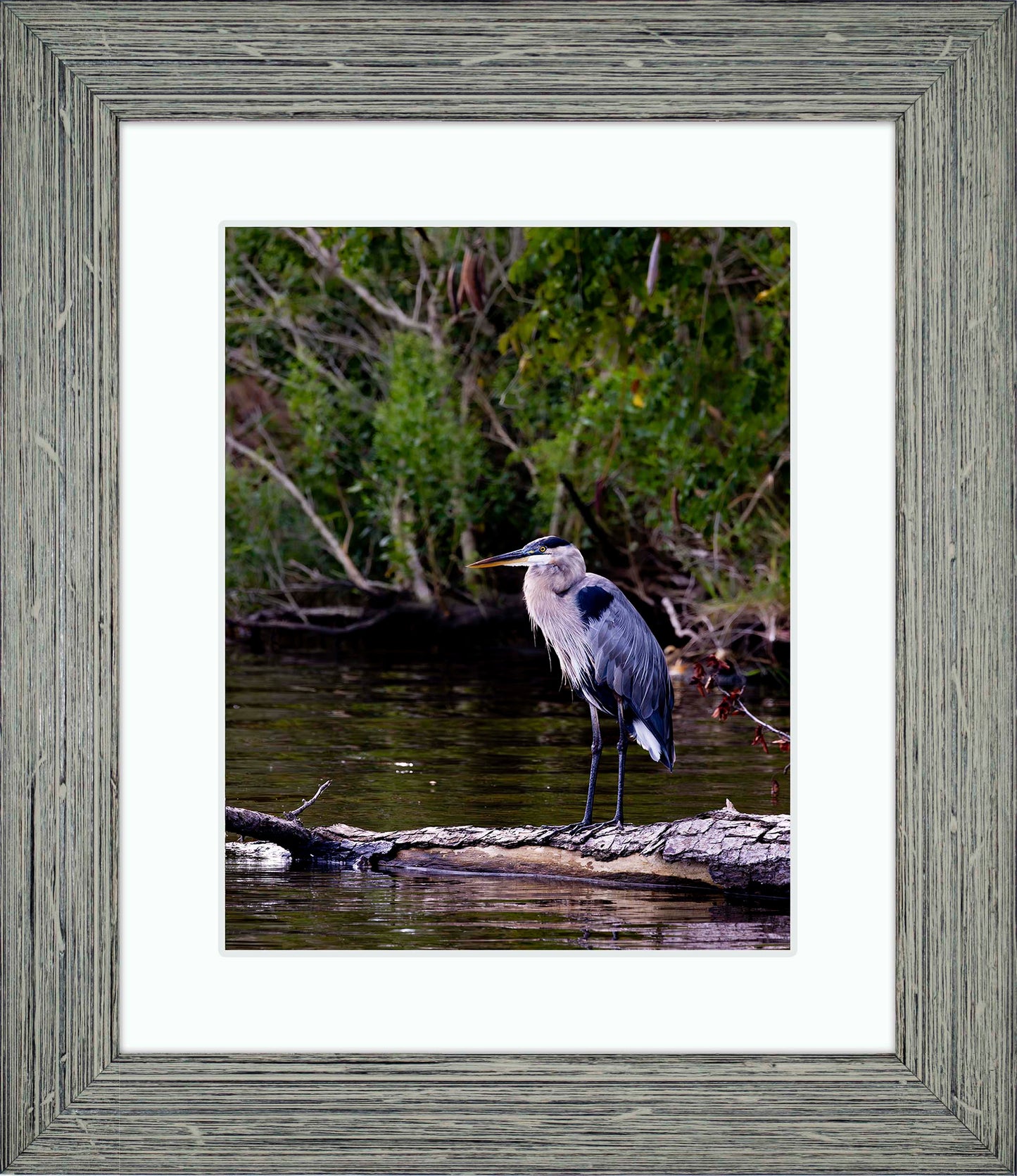 The Surveyor -- Digital Print