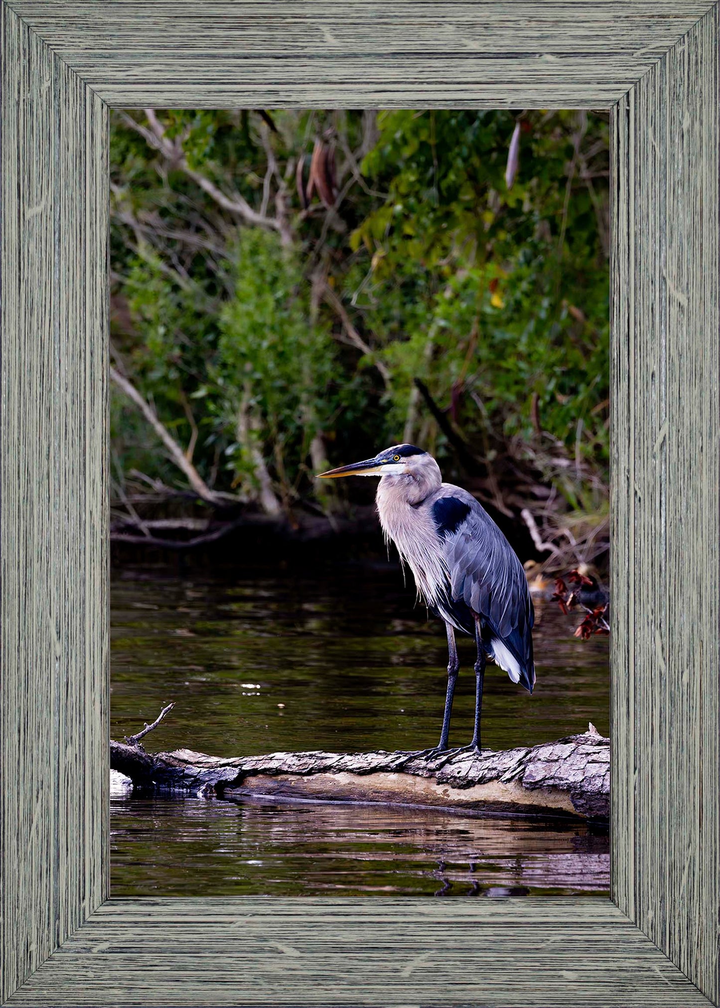 The Surveyor -- Digital Print