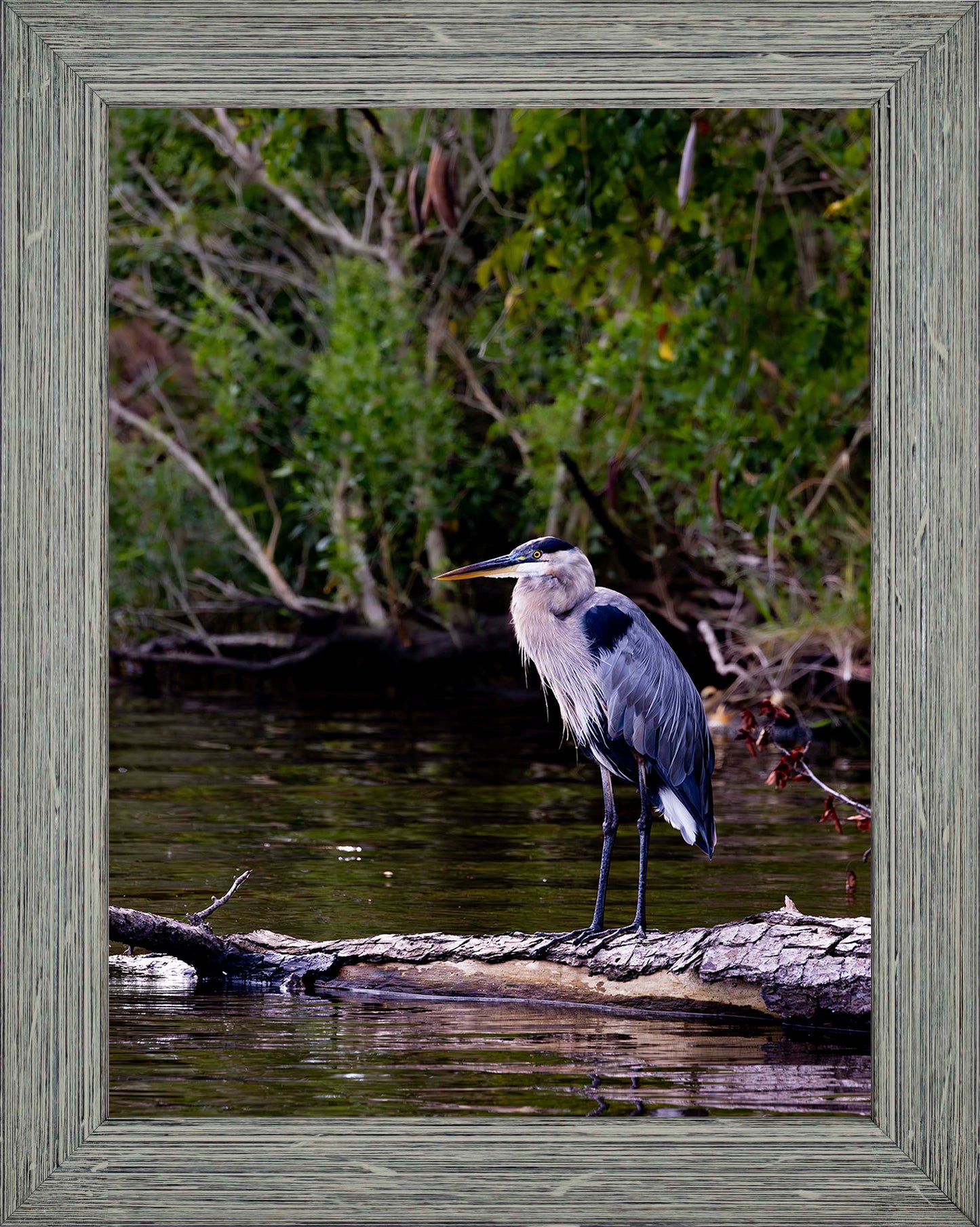 The Surveyor -- Digital Print
