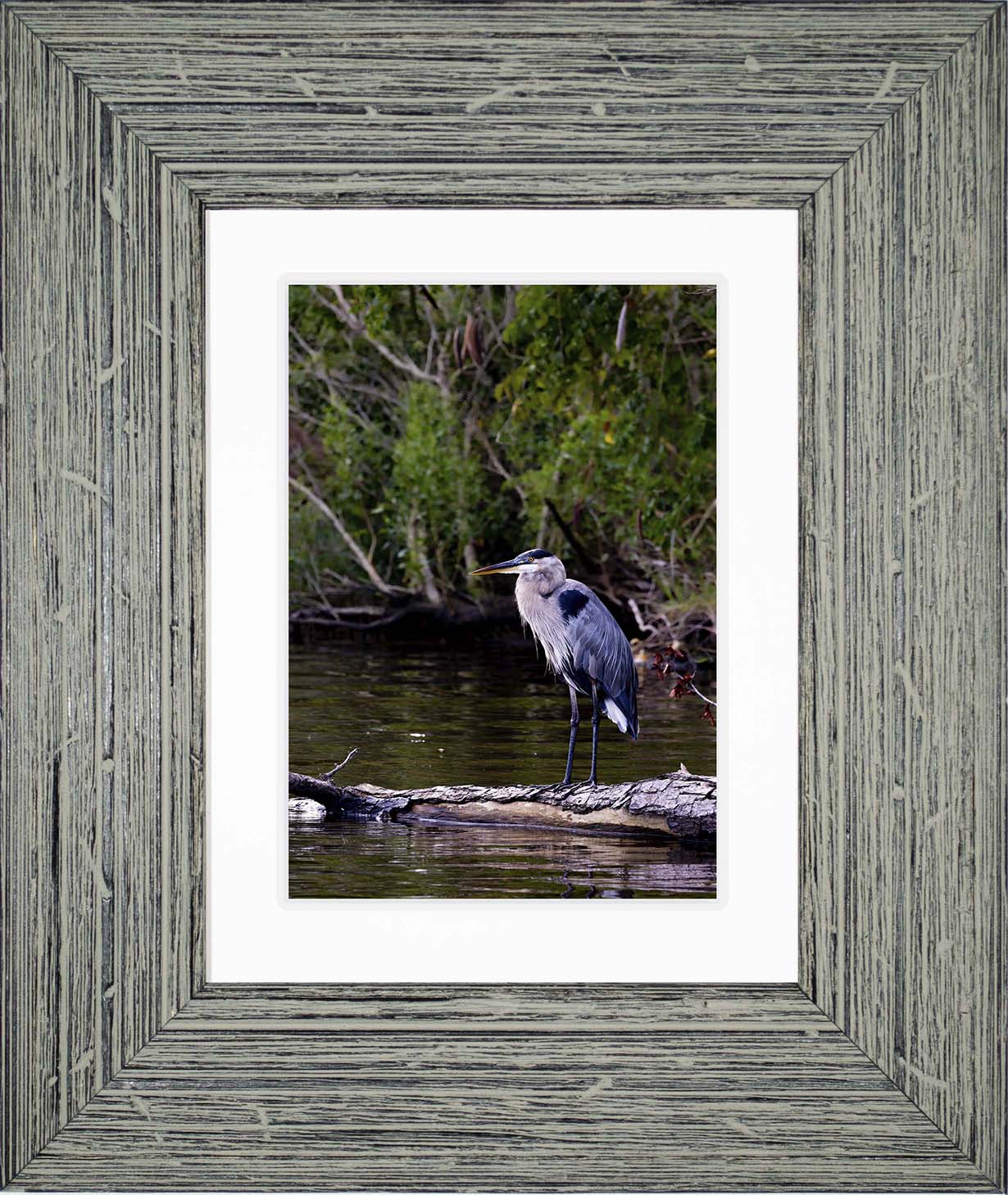 The Surveyor -- Digital Print