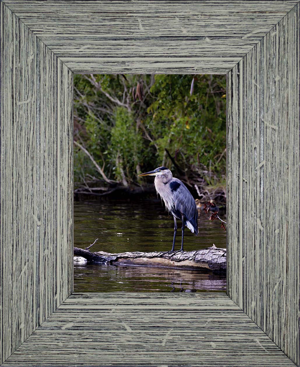 The Surveyor -- Digital Print