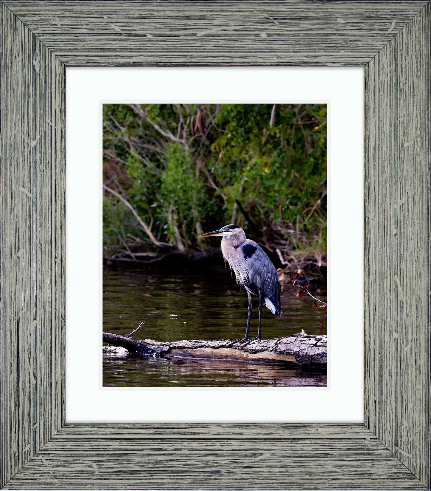 The Surveyor -- Digital Print