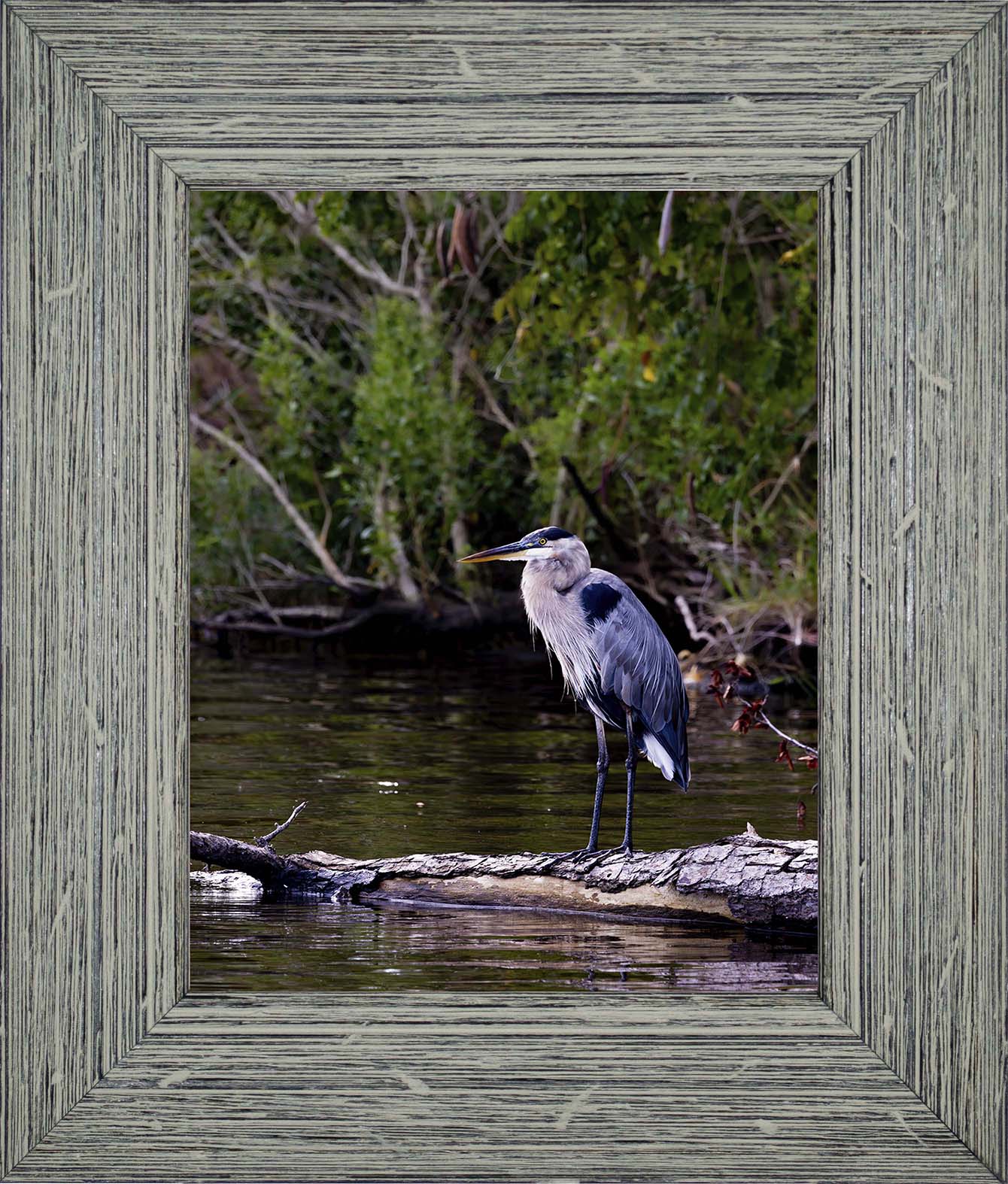 The Surveyor -- Digital Print