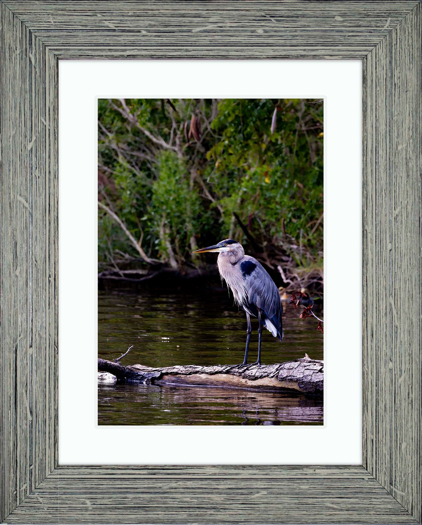 The Surveyor -- Digital Print