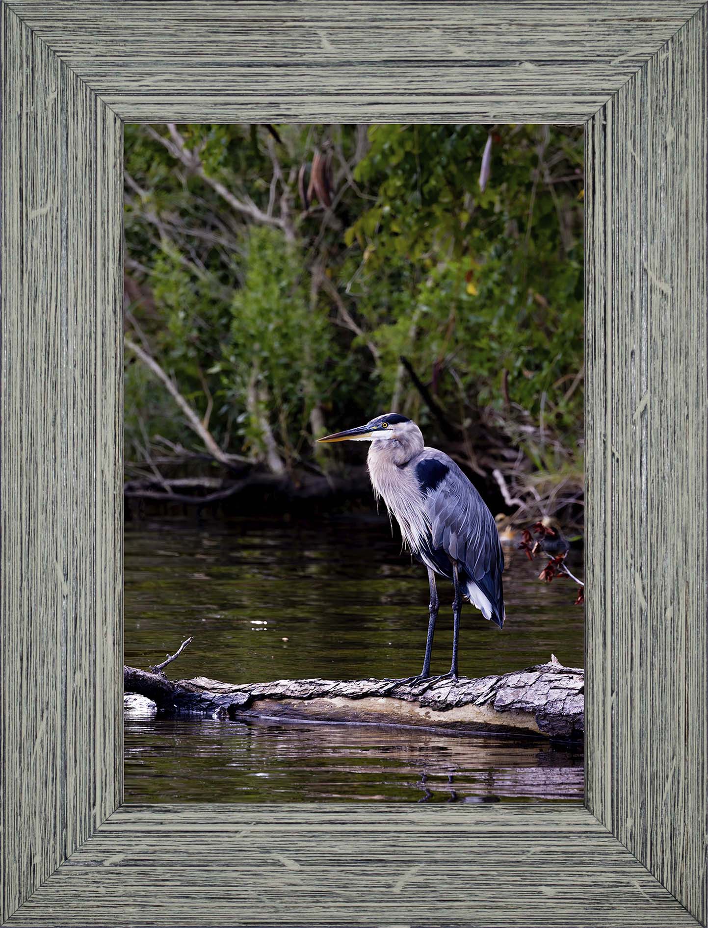 The Surveyor -- Digital Print