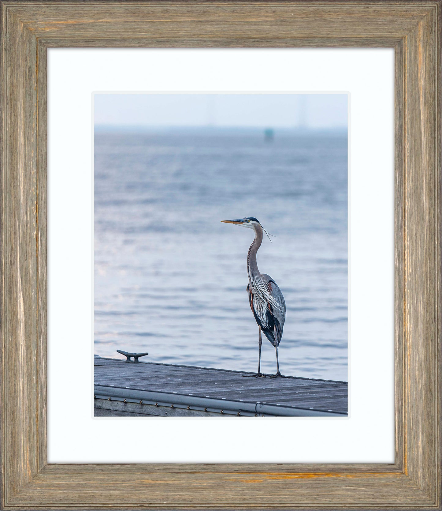 Waiting for a Mate -- Digital Print