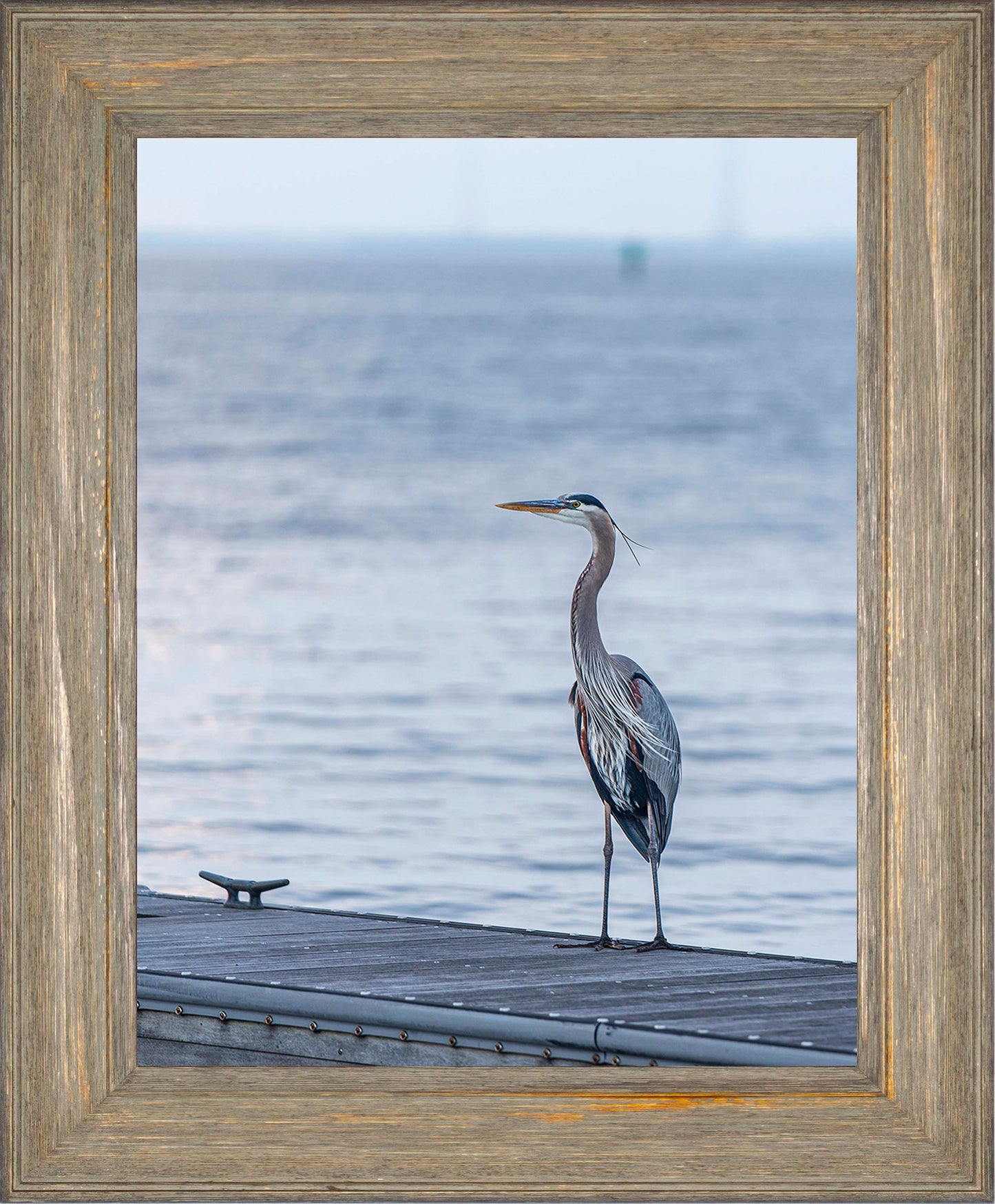 Waiting for a Mate -- Digital Print