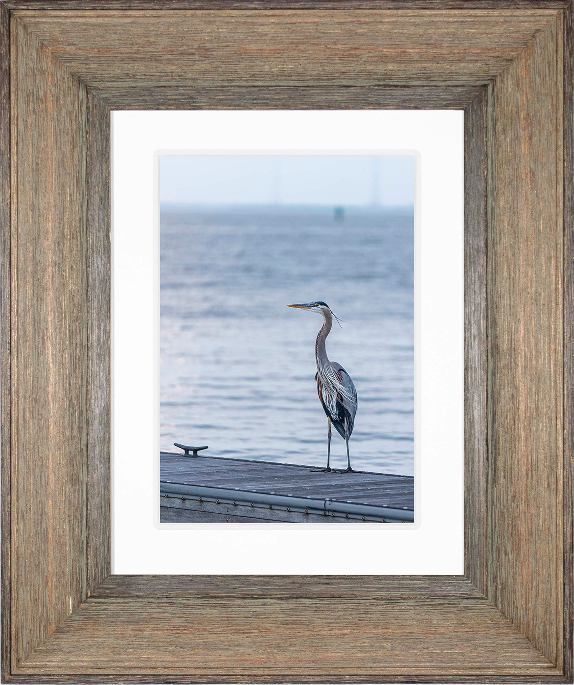 Waiting for a Mate -- Digital Print