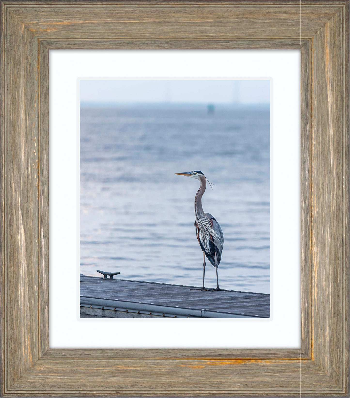 Waiting for a Mate -- Digital Print