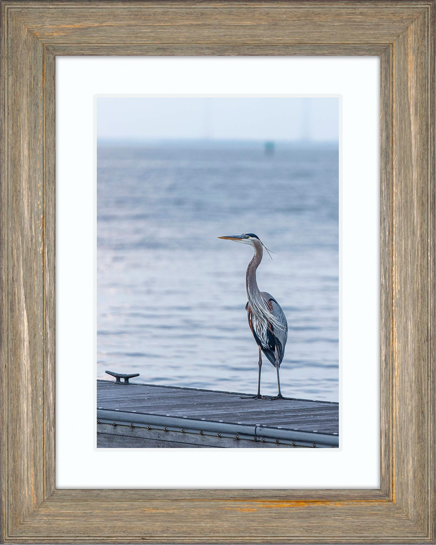 Waiting for a Mate -- Digital Print