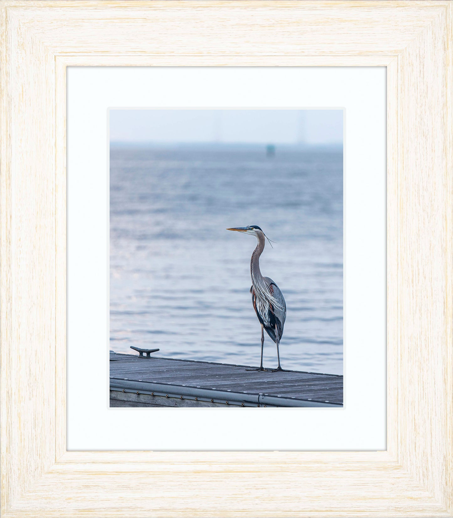 Waiting for a Mate -- Digital Print