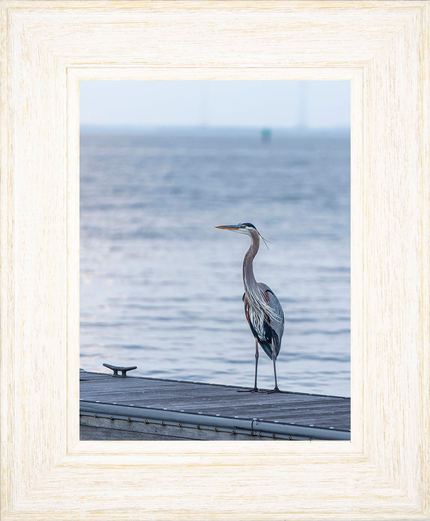 Waiting for a Mate -- Digital Print