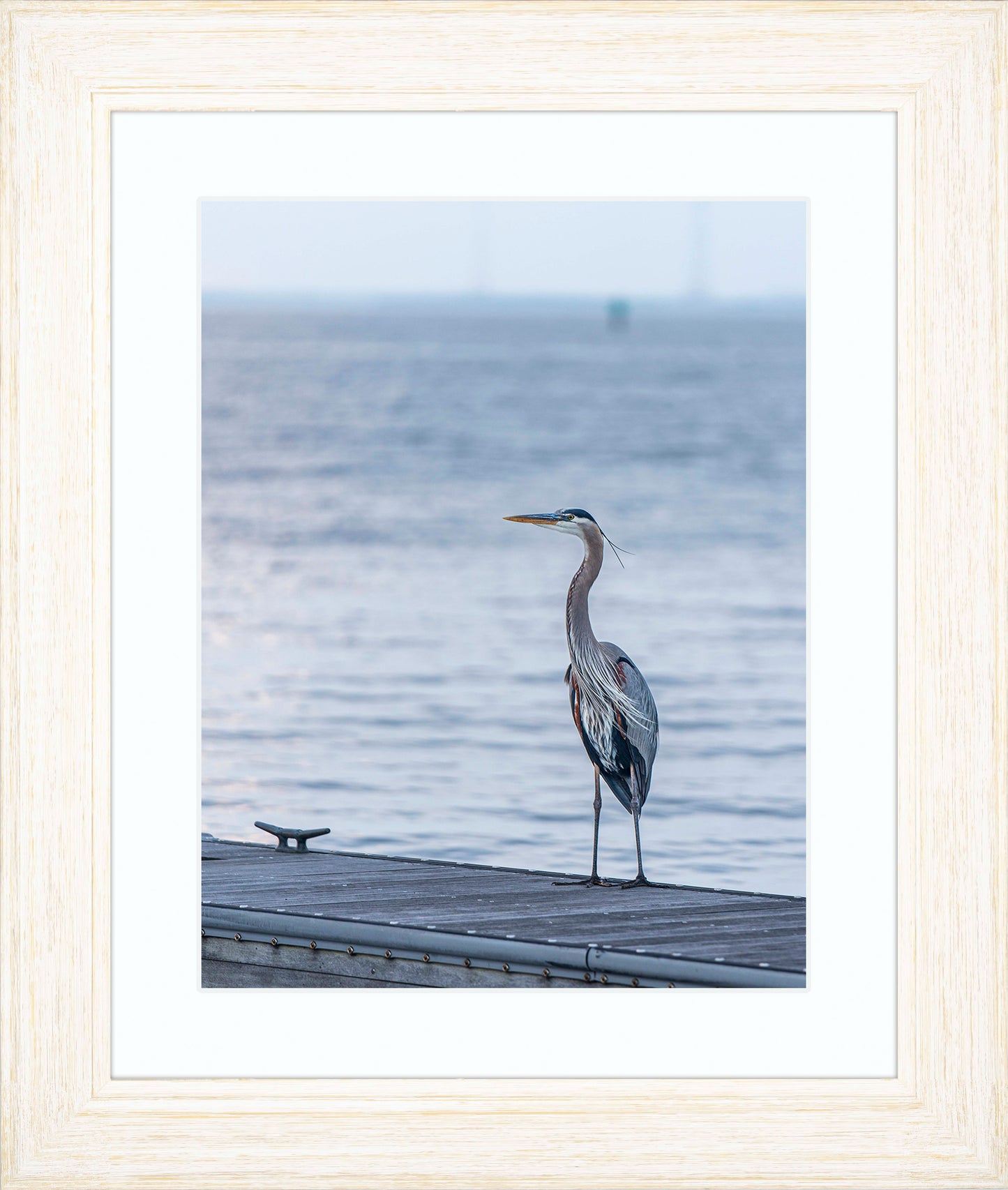 Waiting for a Mate -- Digital Print