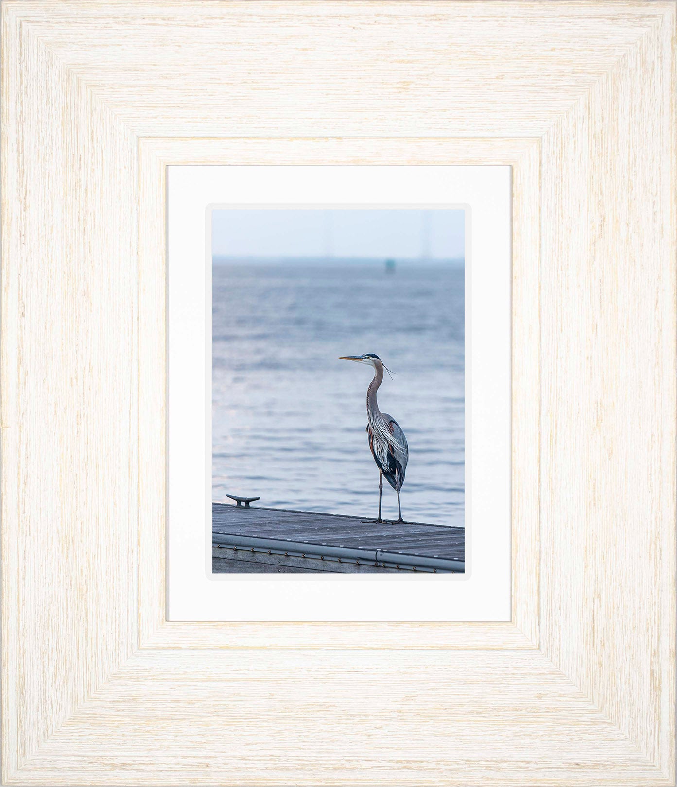 Waiting for a Mate -- Digital Print