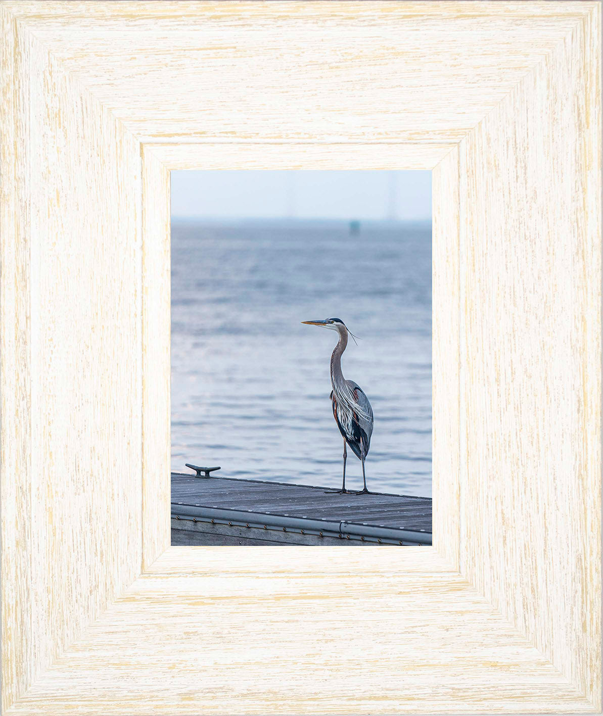 Waiting for a Mate -- Digital Print