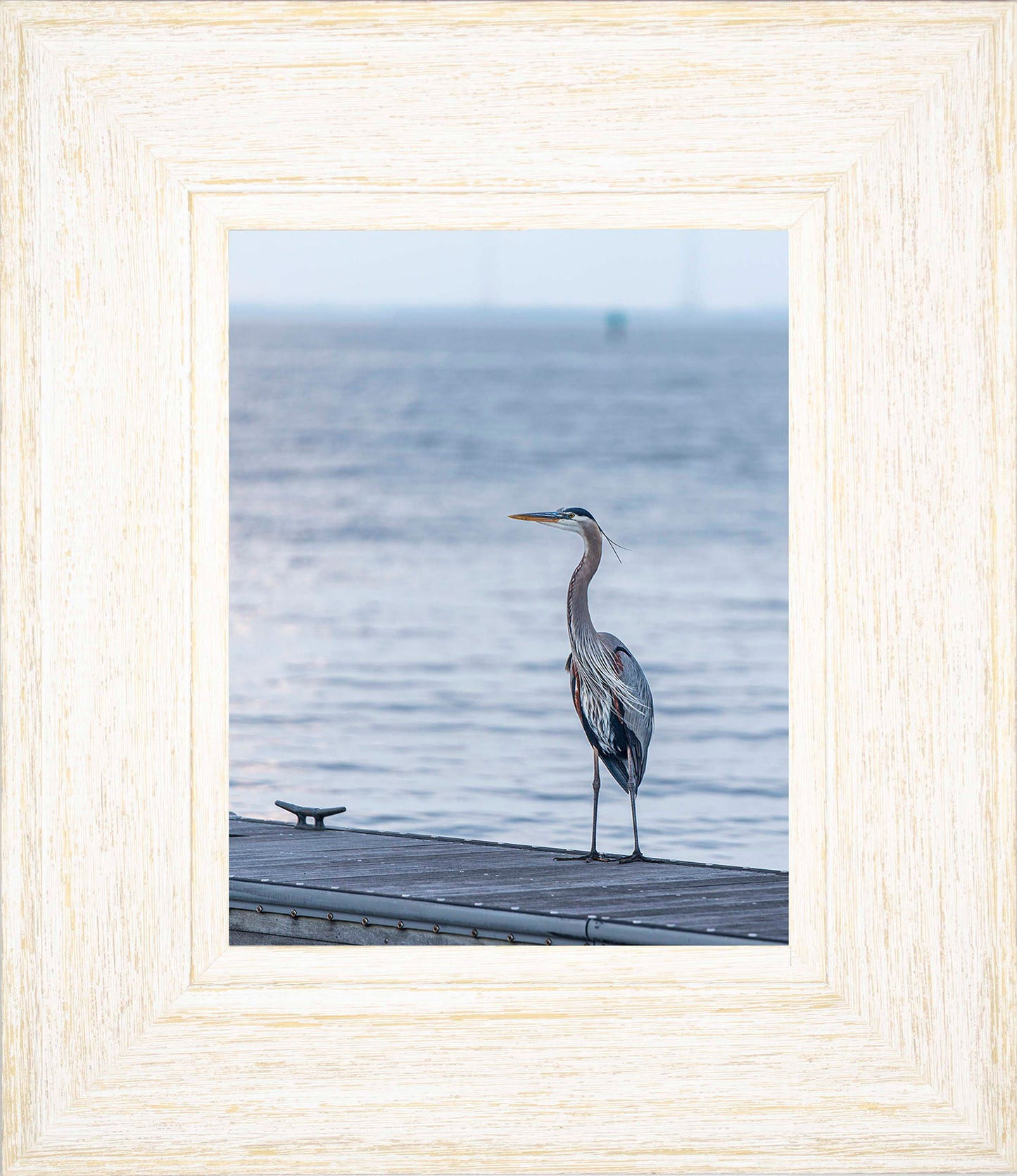 Waiting for a Mate -- Digital Print