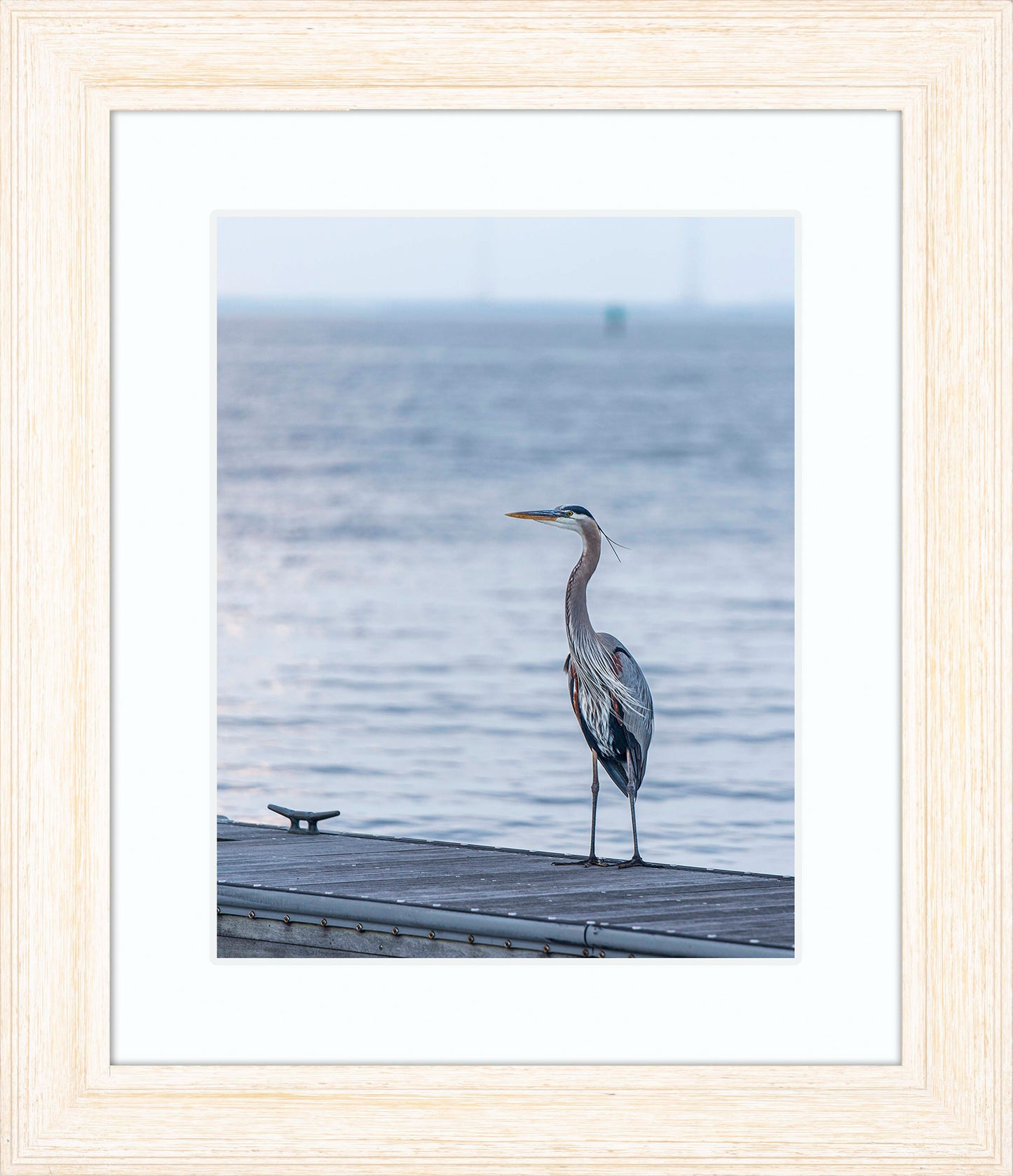 Waiting for a Mate -- Digital Print