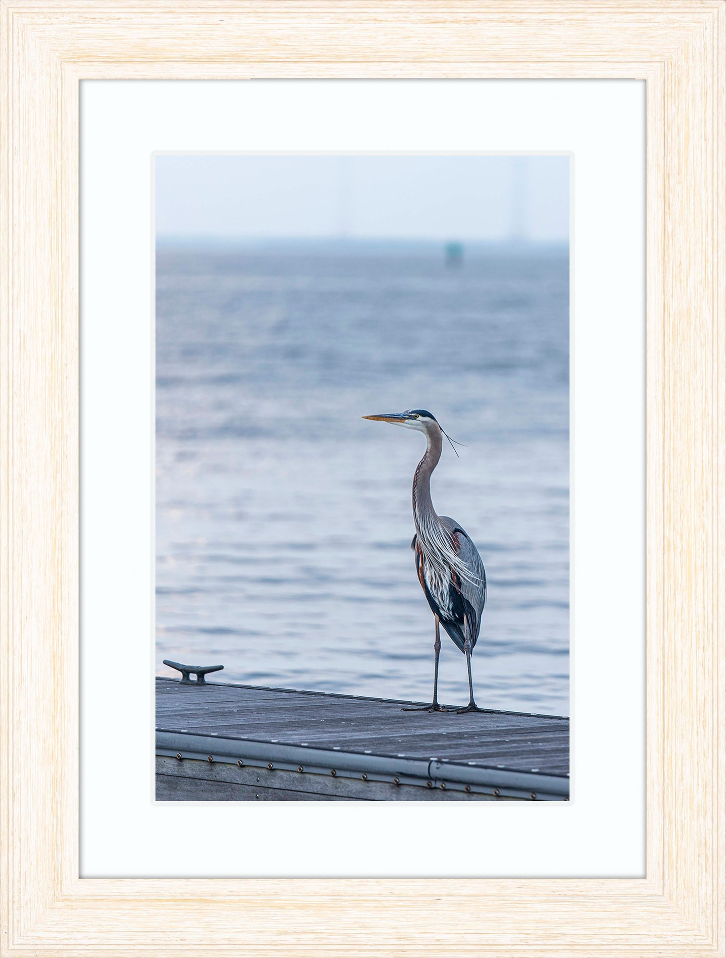 Waiting for a Mate -- Digital Print