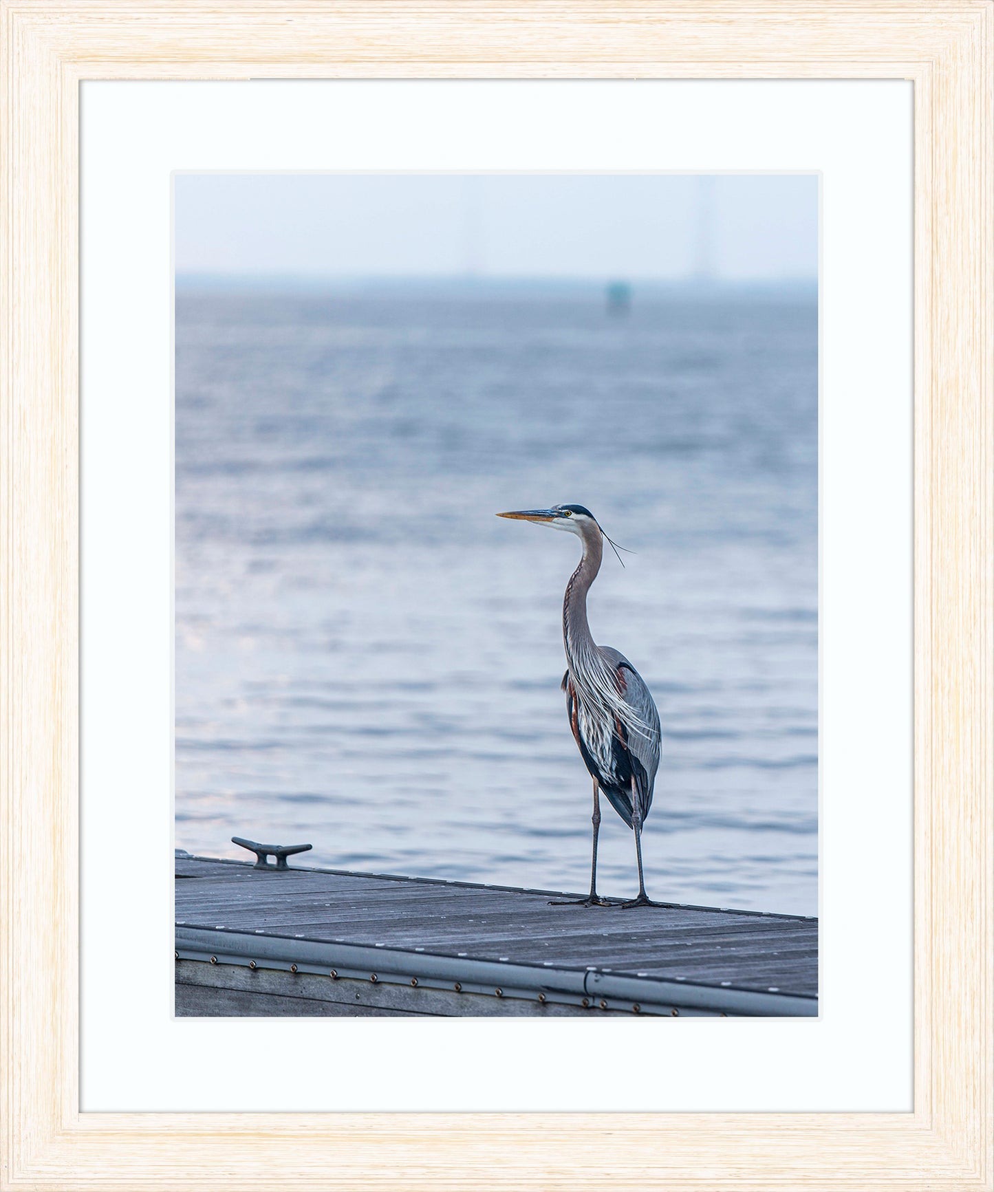 Waiting for a Mate -- Digital Print