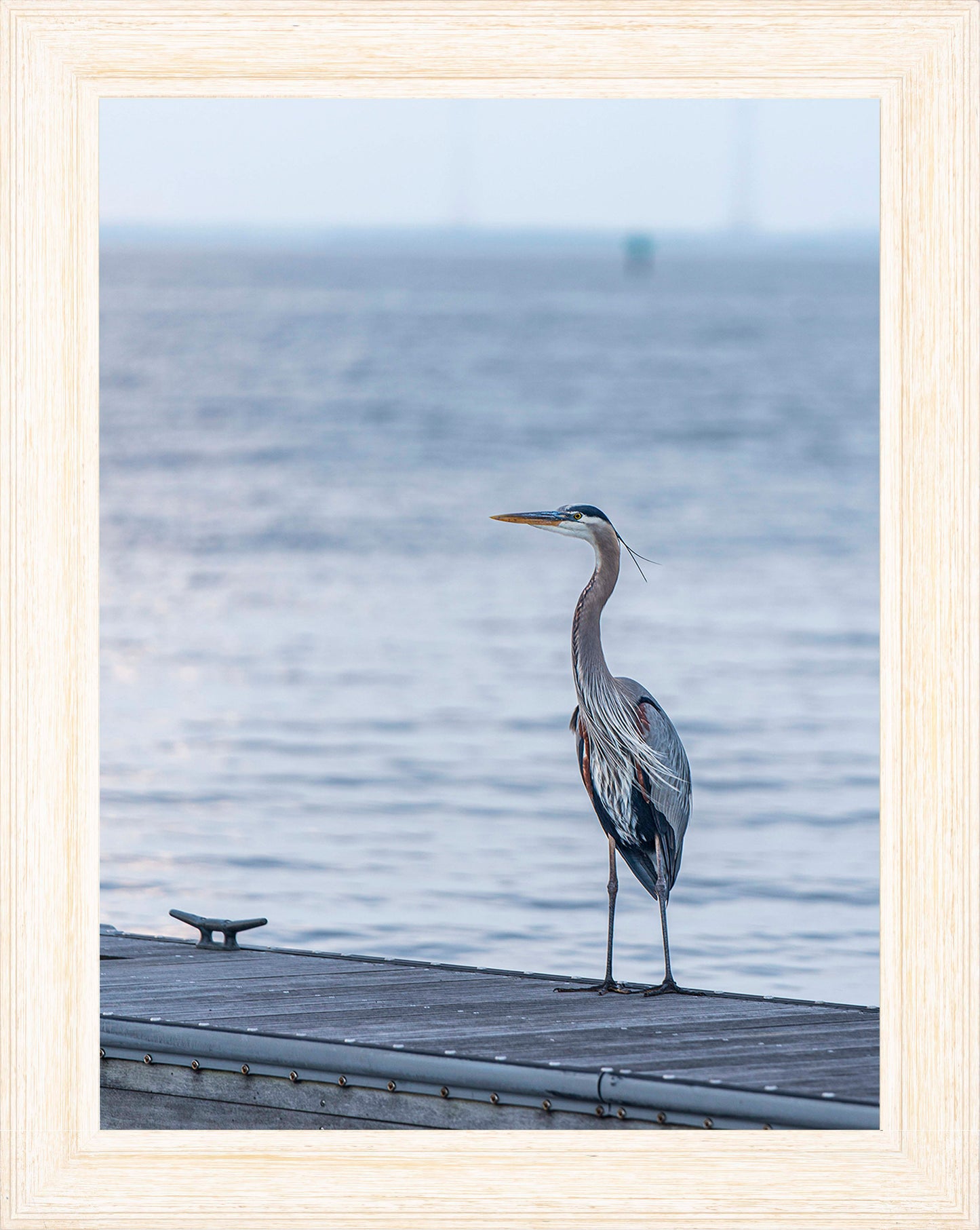 Waiting for a Mate -- Digital Print