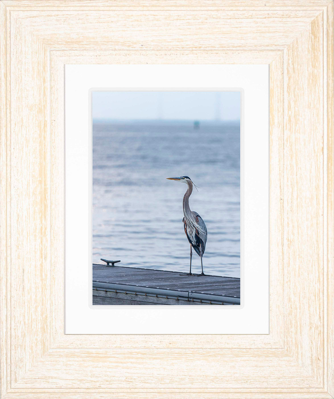 Waiting for a Mate -- Digital Print