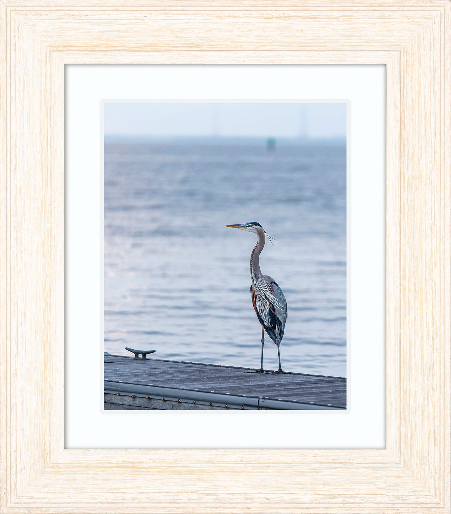 Waiting for a Mate -- Digital Print