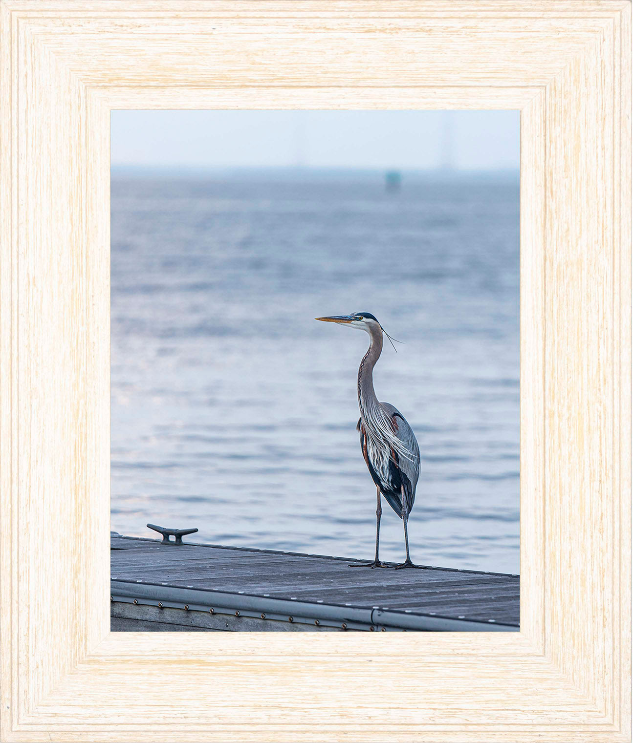 Waiting for a Mate -- Digital Print