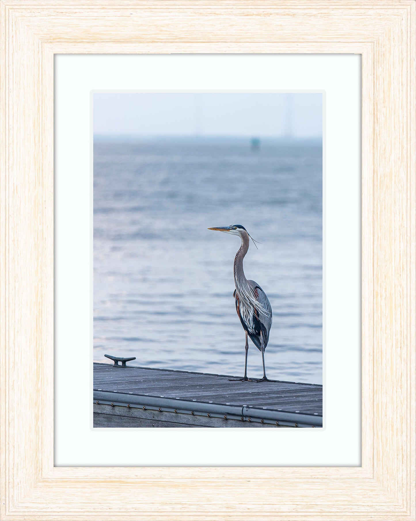 Waiting for a Mate -- Digital Print