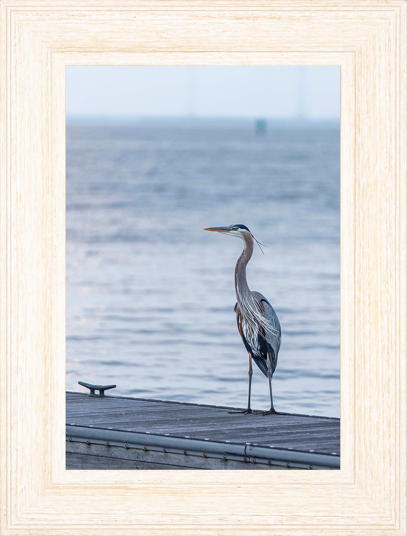 Waiting for a Mate -- Digital Print