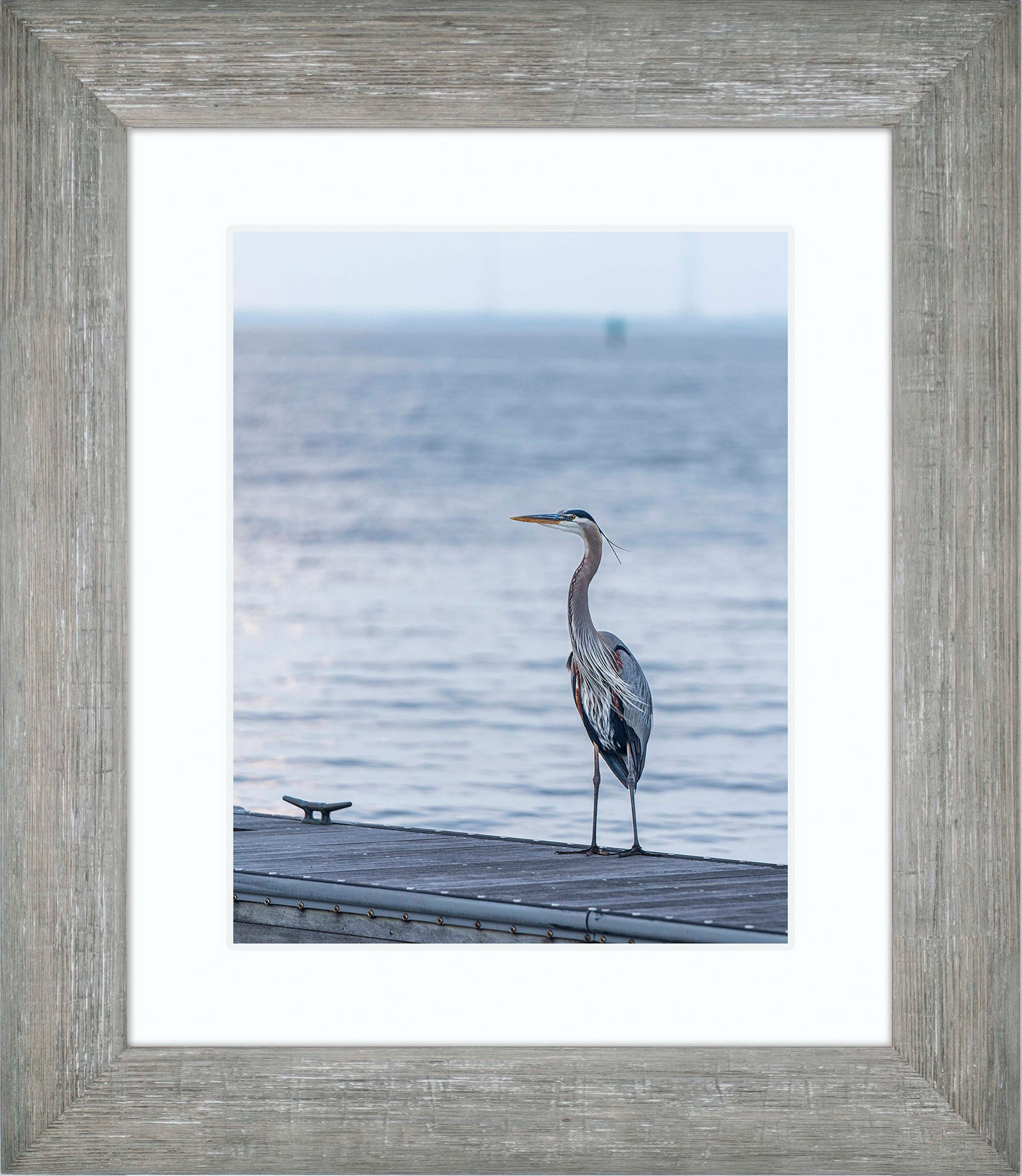 Waiting for a Mate -- Digital Print