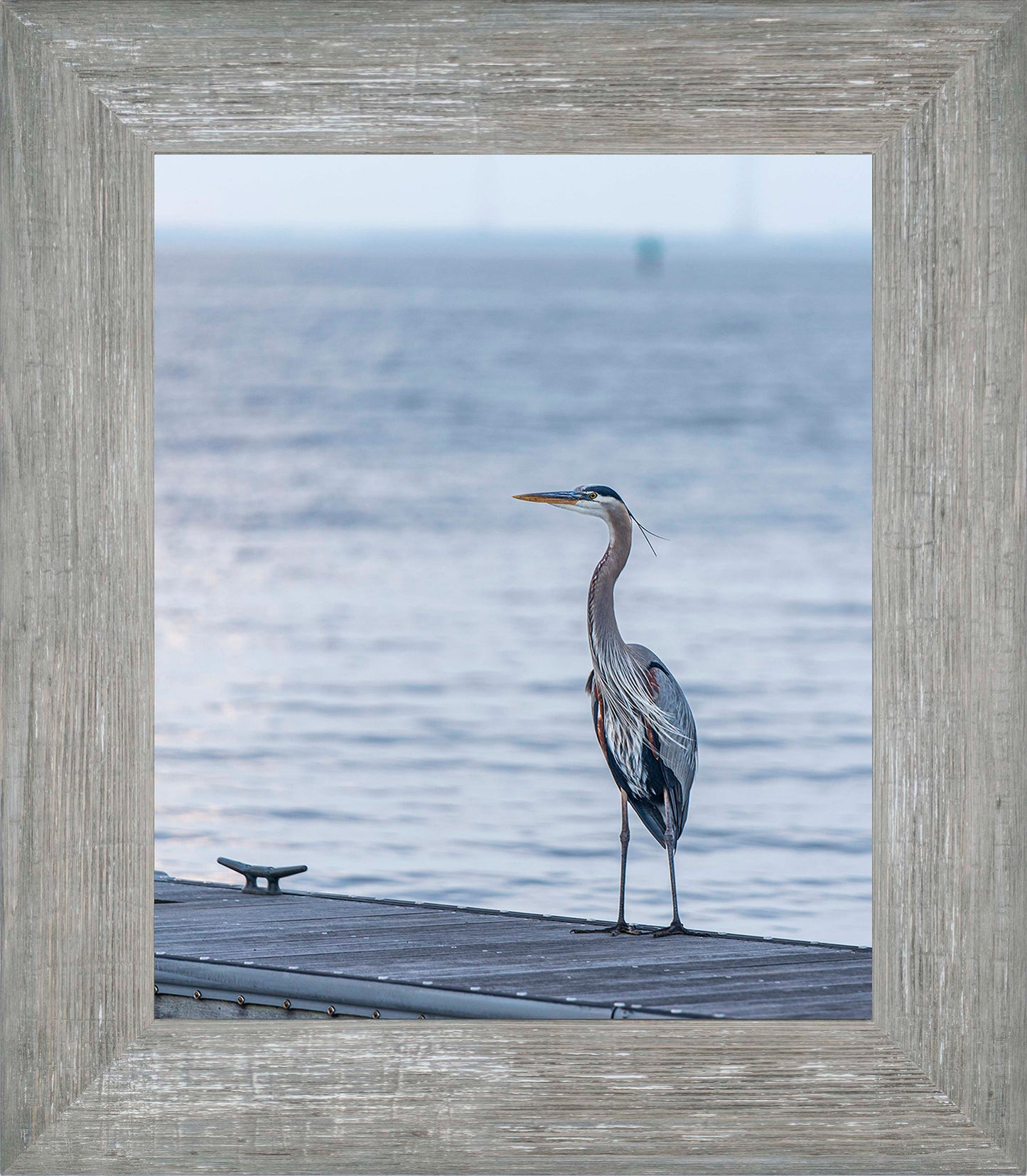 Waiting for a Mate -- Digital Print