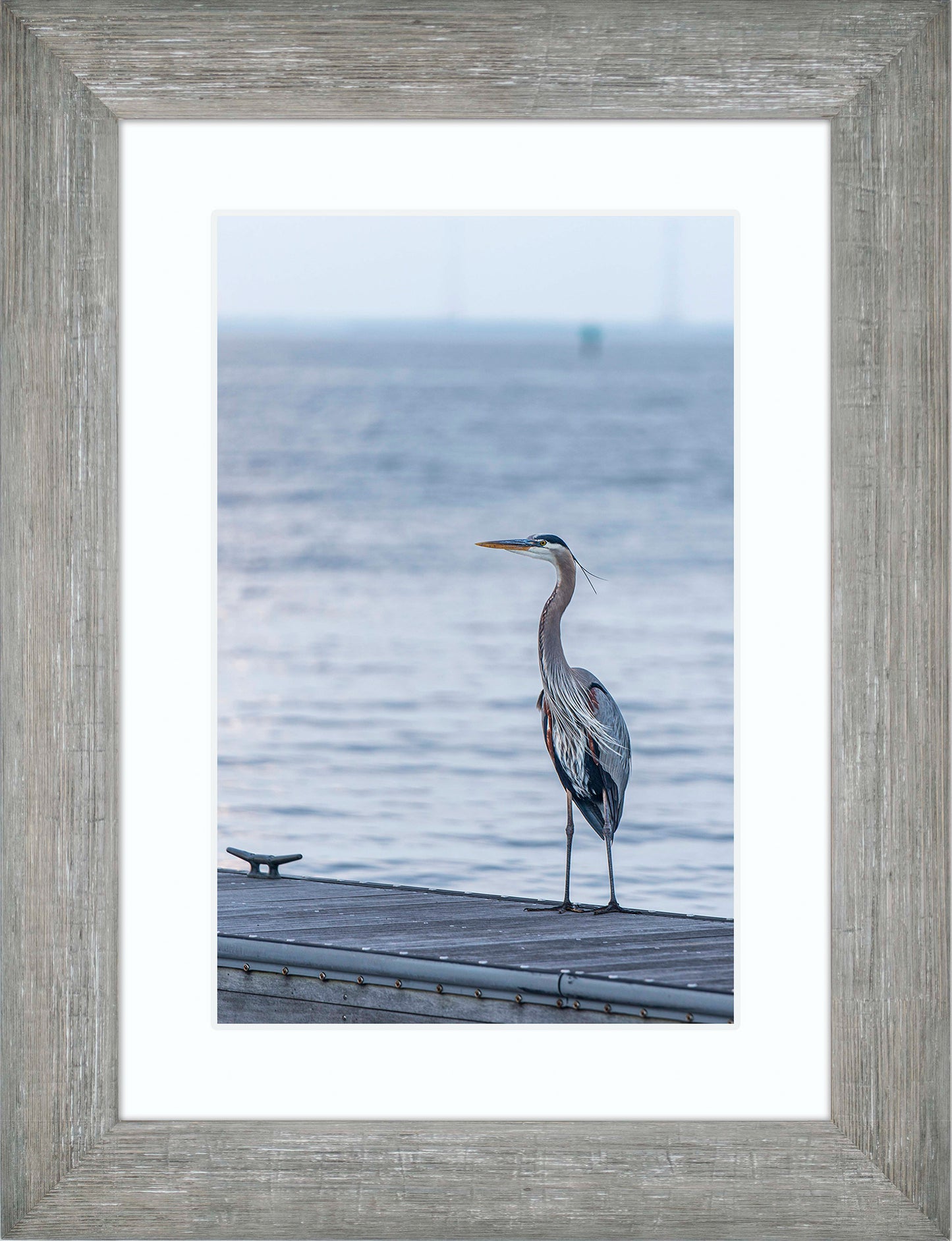 Waiting for a Mate -- Digital Print