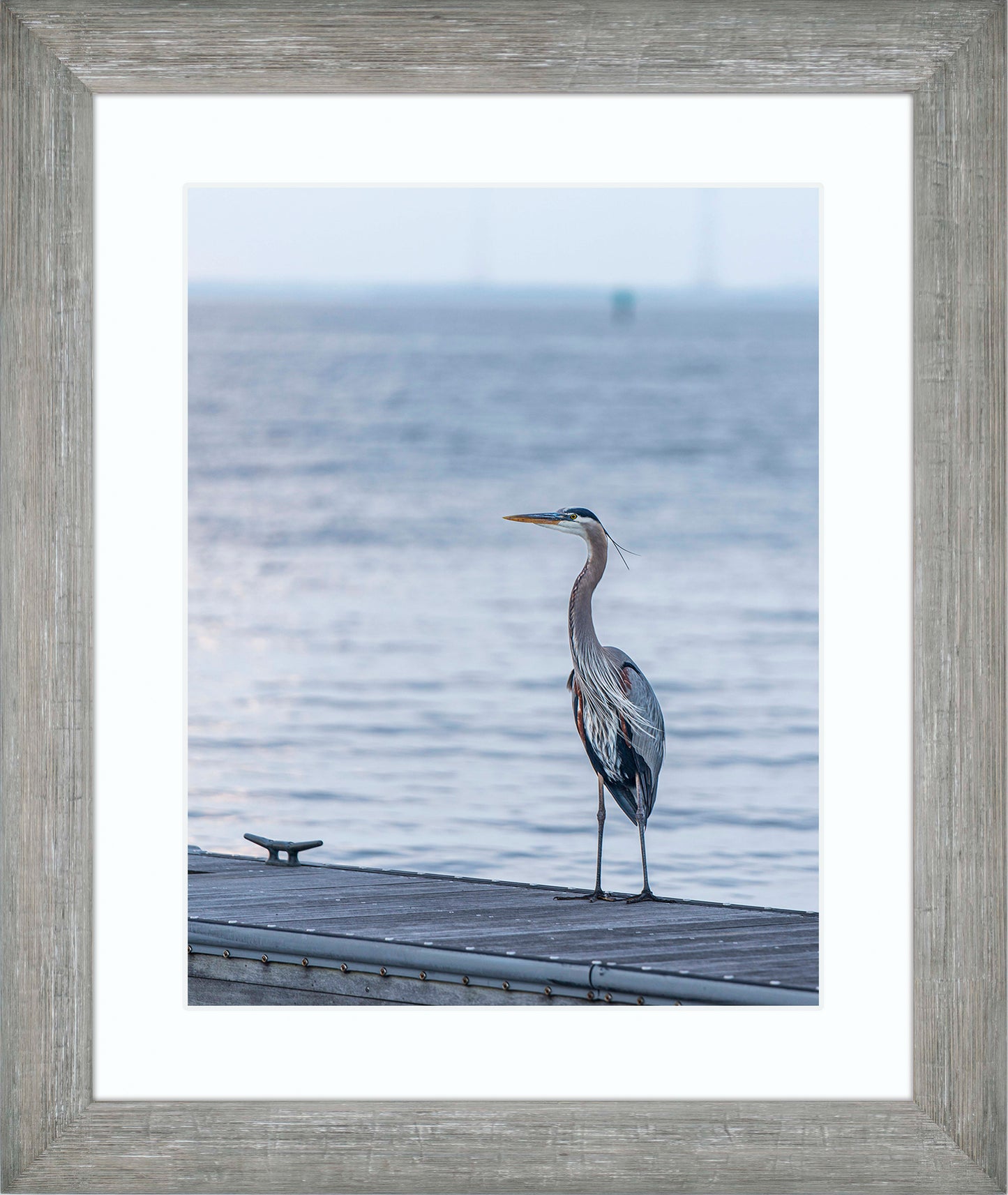 Waiting for a Mate -- Digital Print