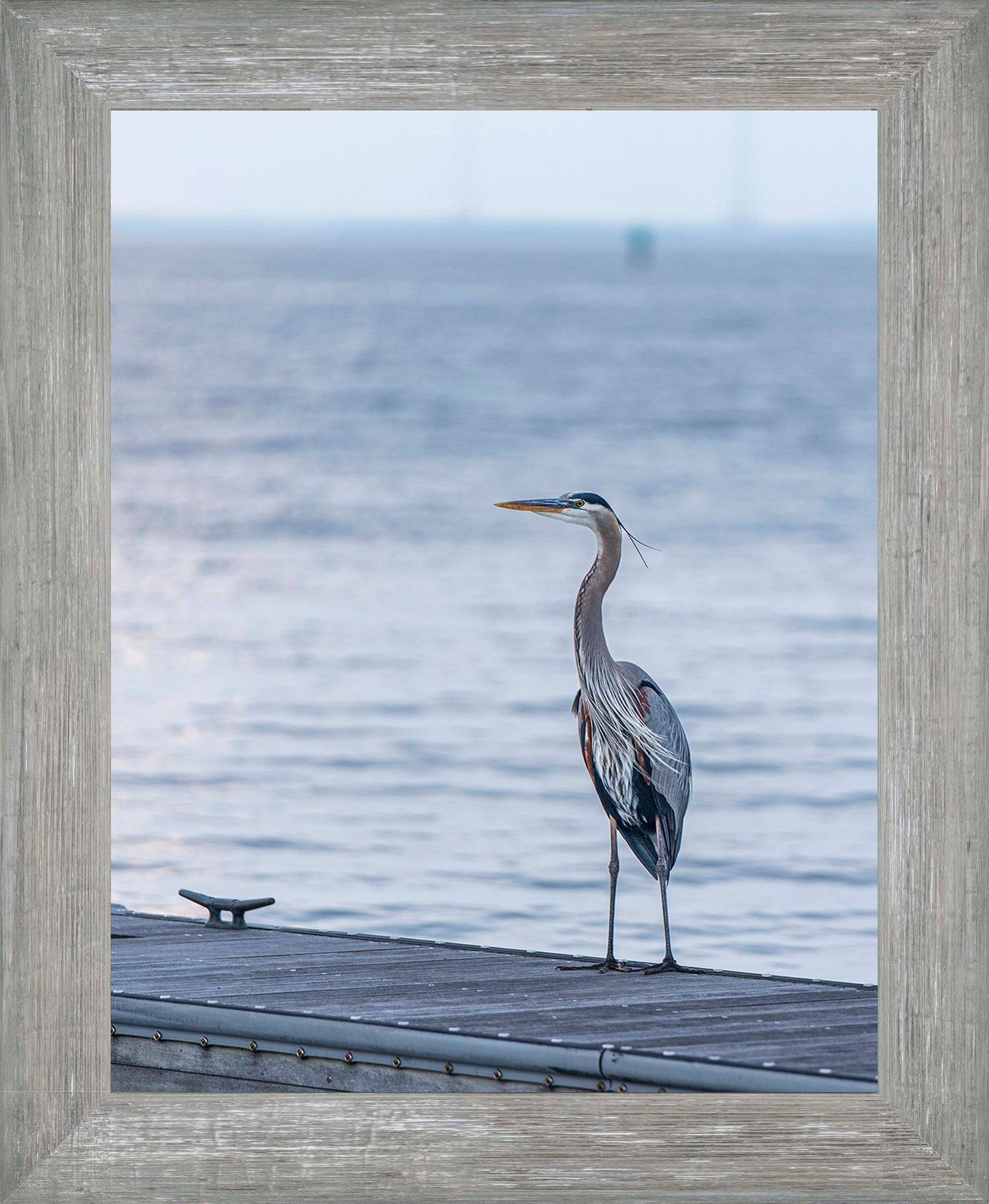 Waiting for a Mate -- Digital Print