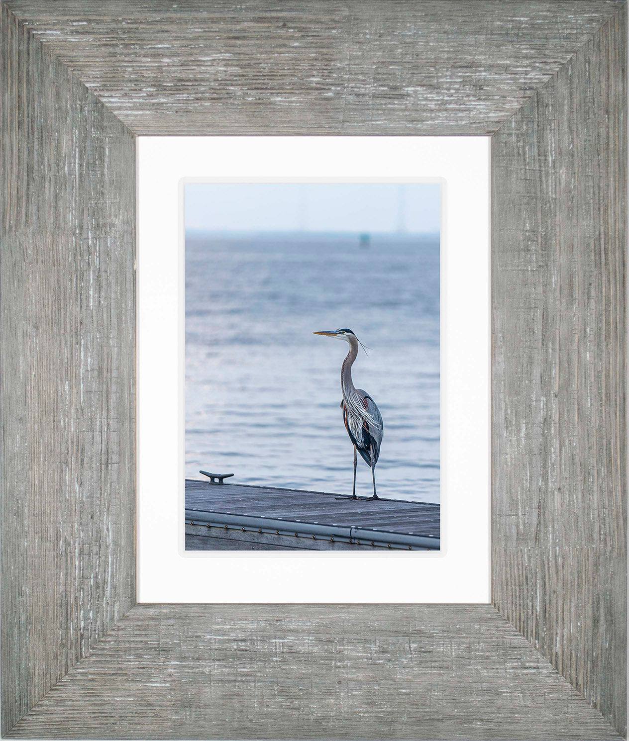 Waiting for a Mate -- Digital Print