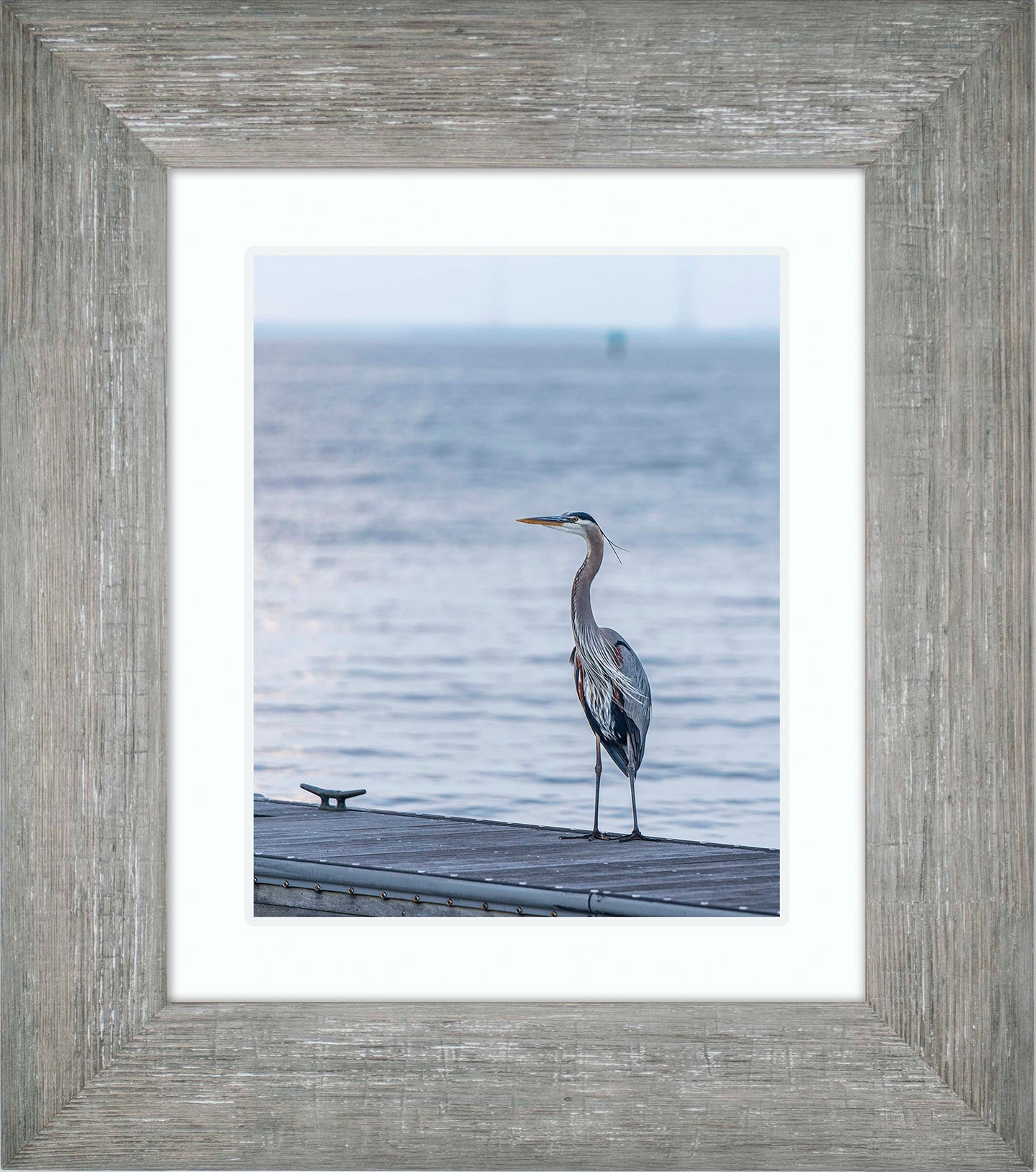 Waiting for a Mate -- Digital Print