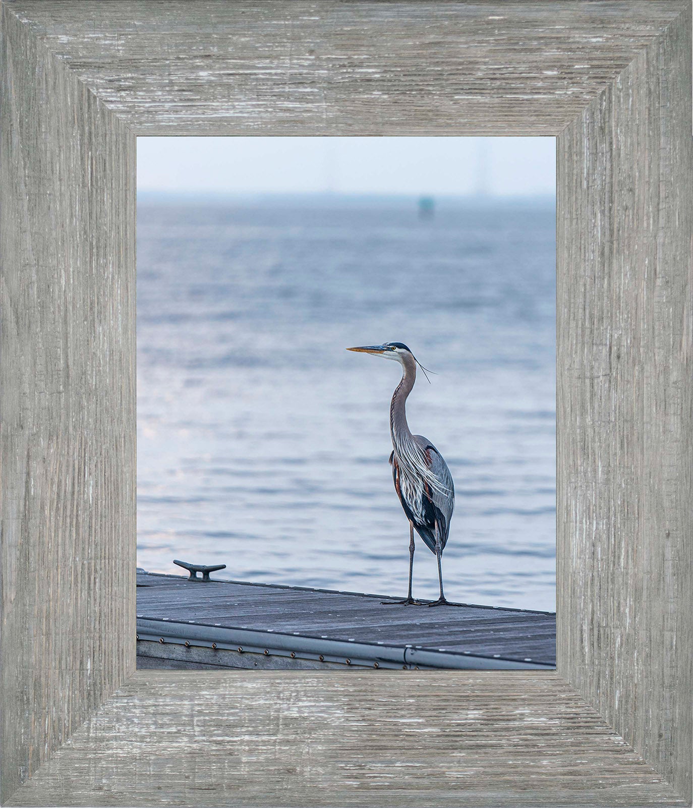 Waiting for a Mate -- Digital Print