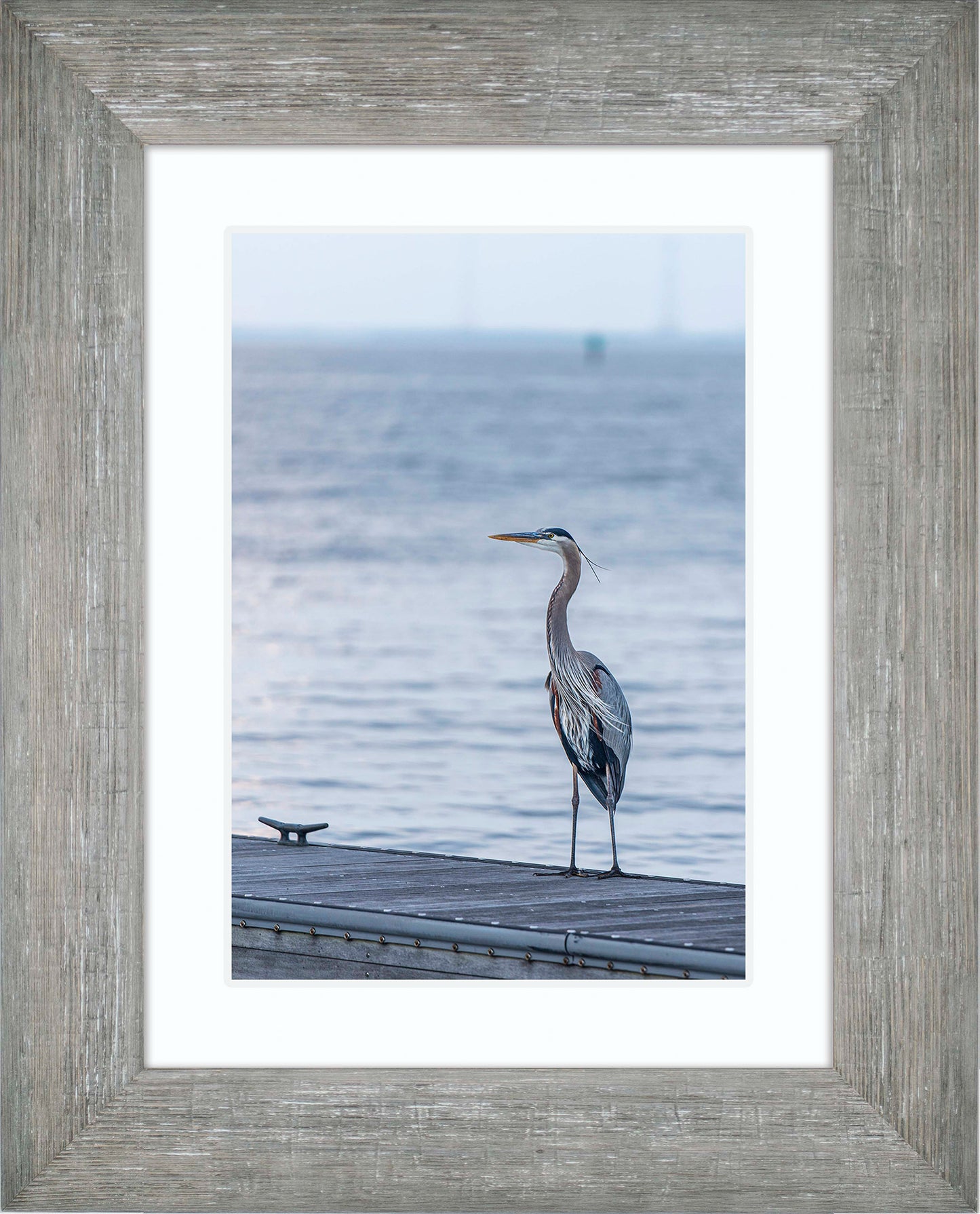 Waiting for a Mate -- Digital Print