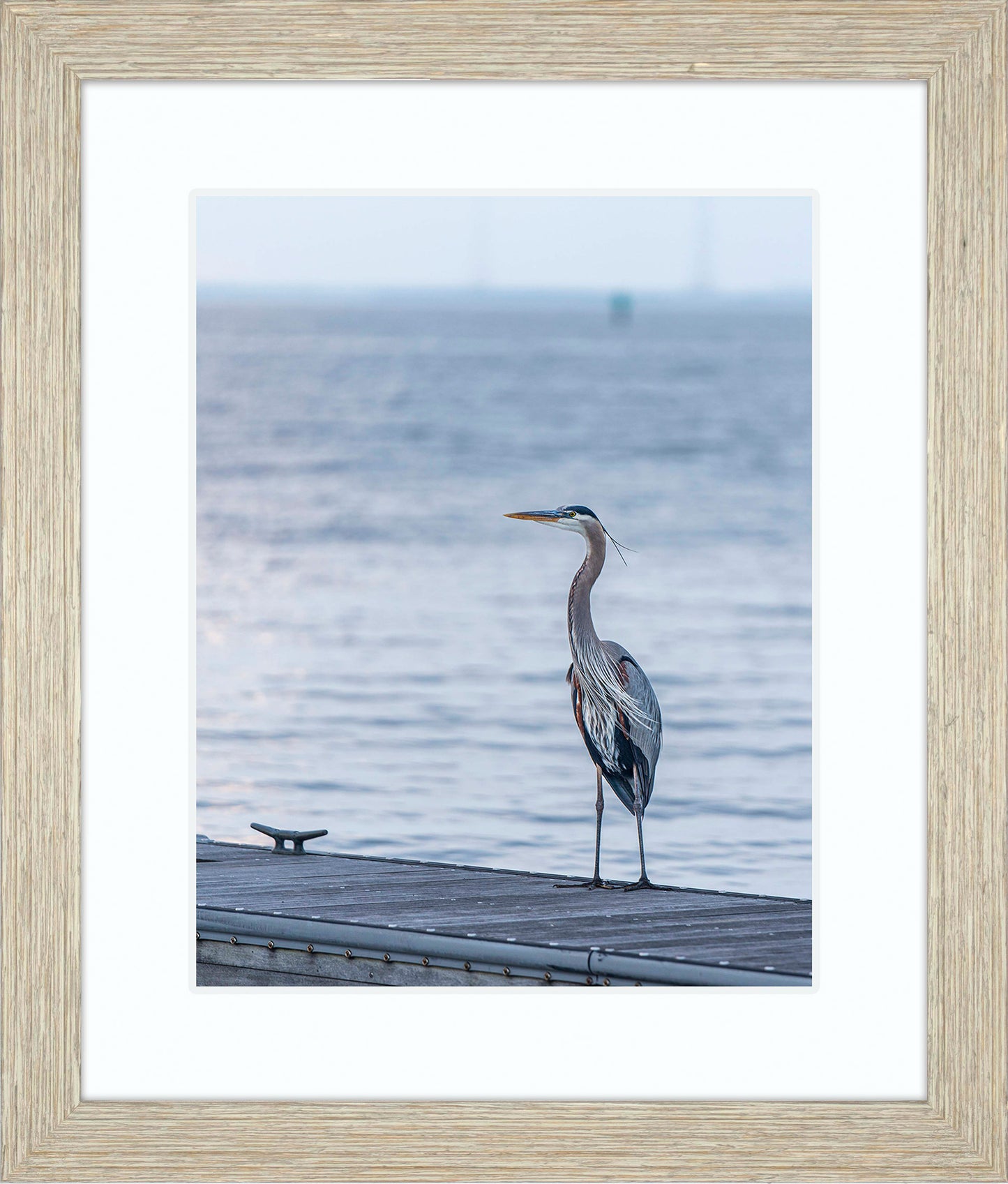 Waiting for a Mate -- Digital Print