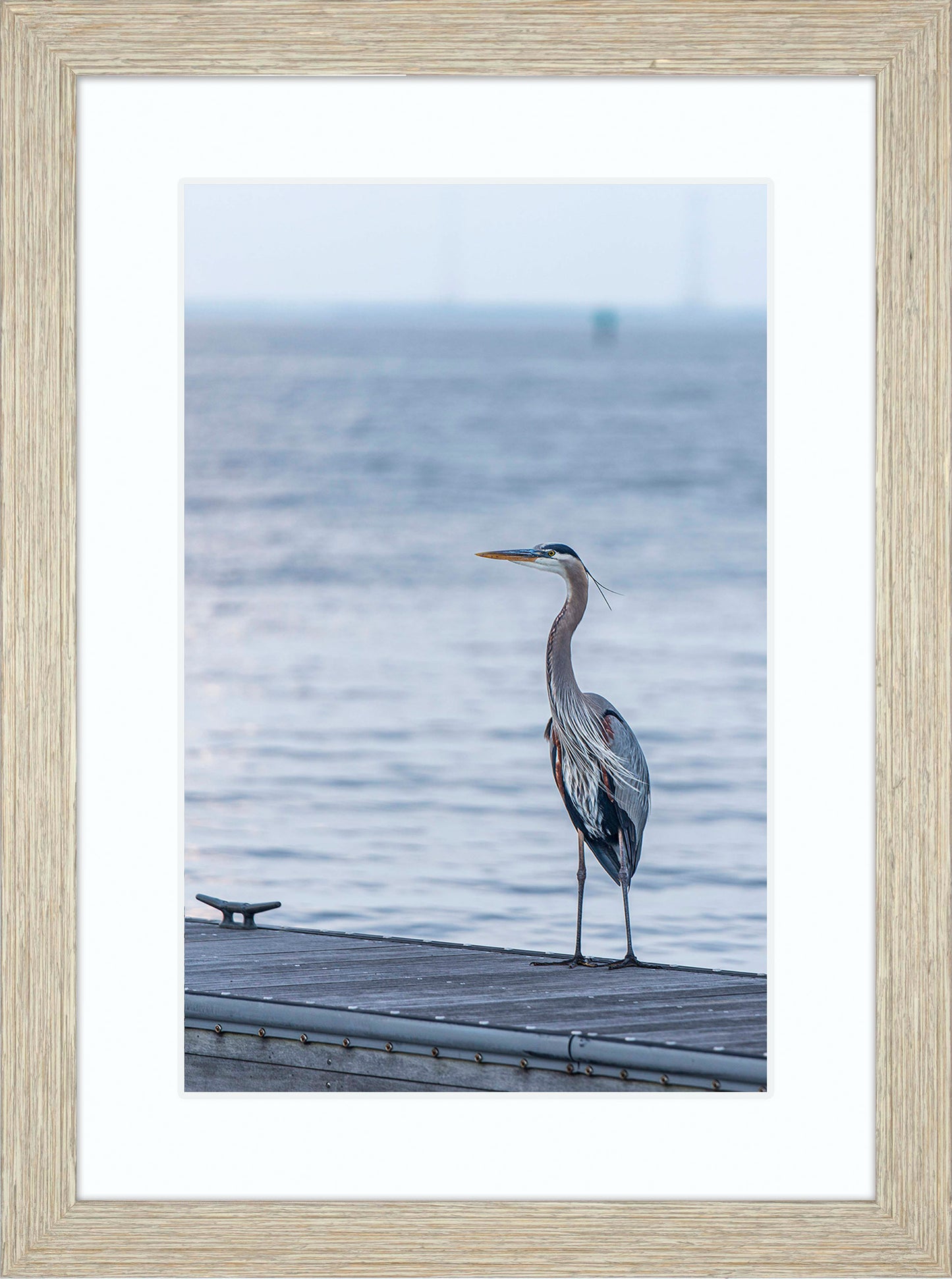 Waiting for a Mate -- Digital Print