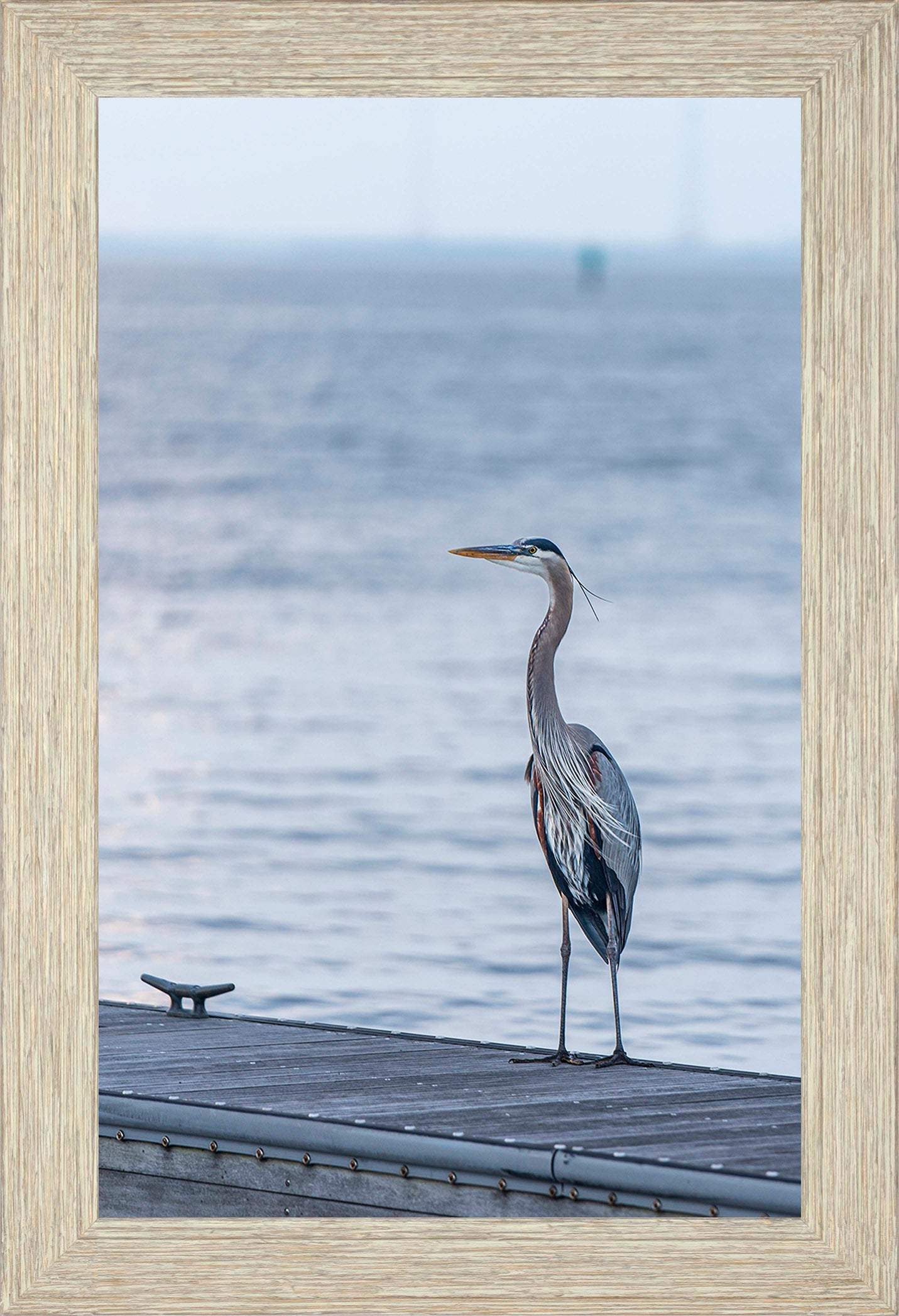 Waiting for a Mate -- Digital Print