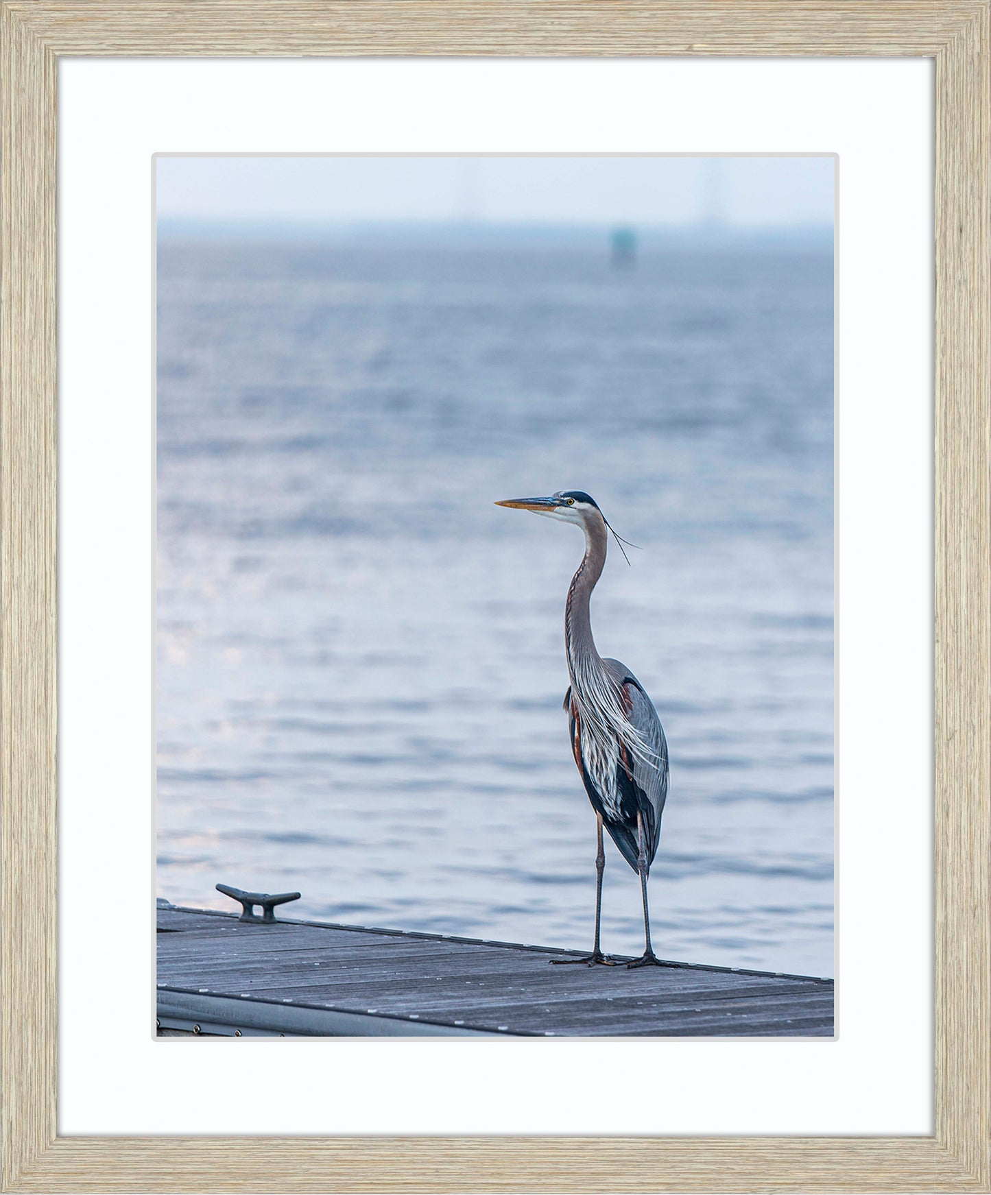 Waiting for a Mate -- Digital Print