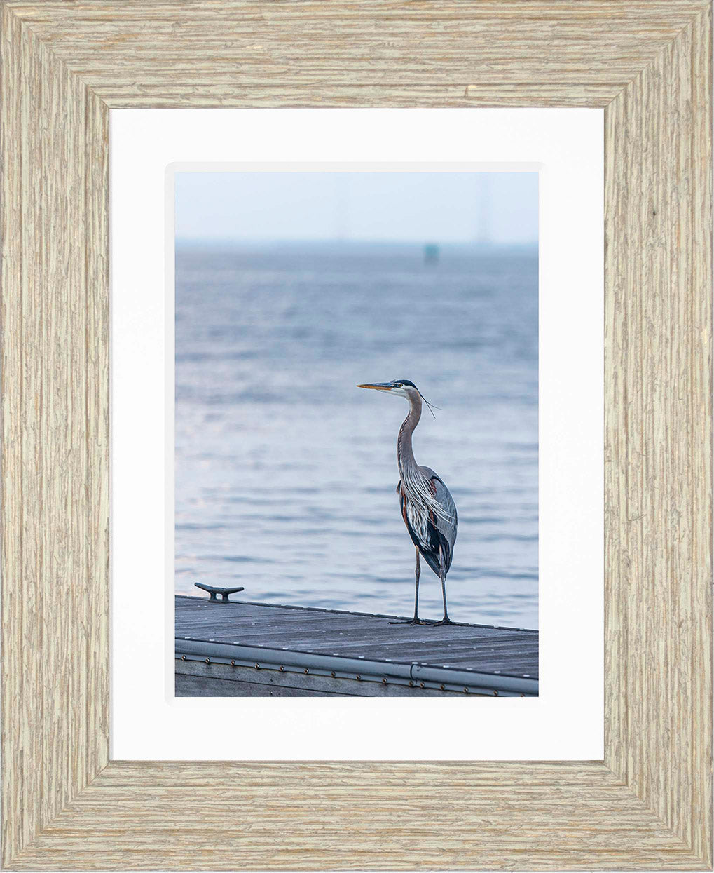 Waiting for a Mate -- Digital Print