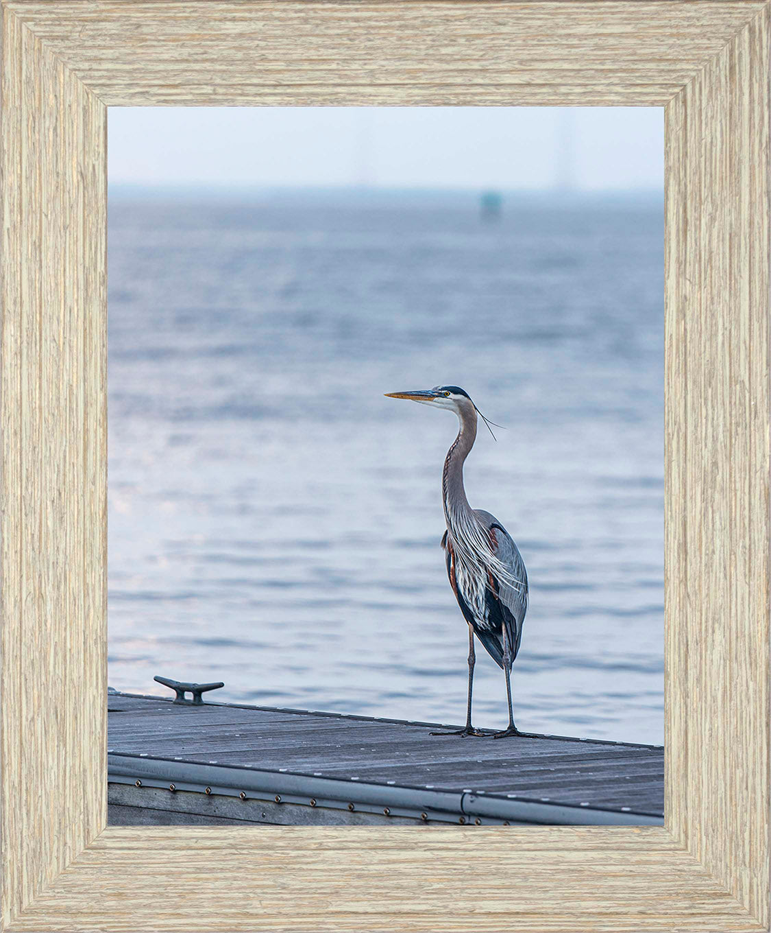 Waiting for a Mate -- Digital Print