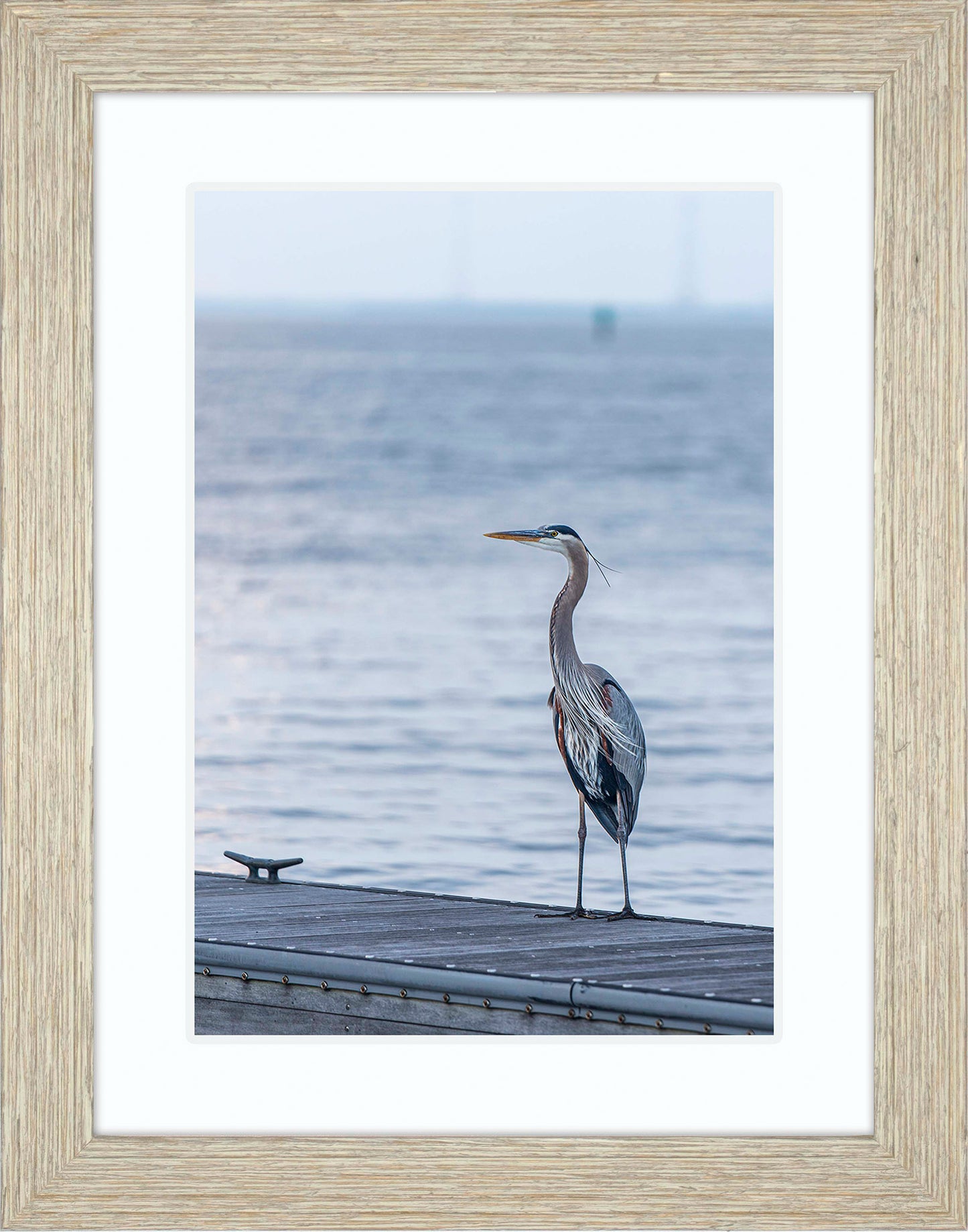 Waiting for a Mate -- Digital Print