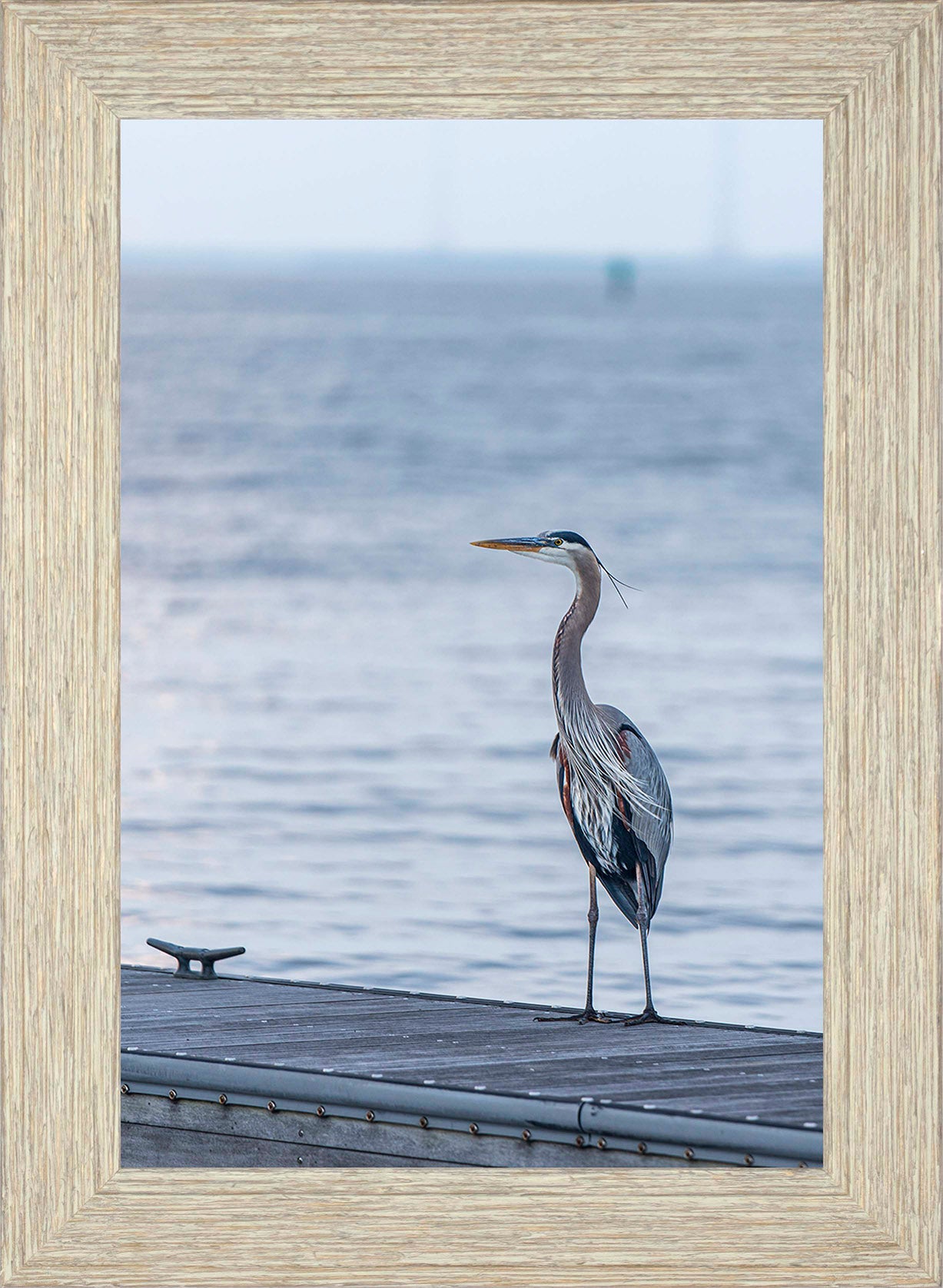 Waiting for a Mate -- Digital Print