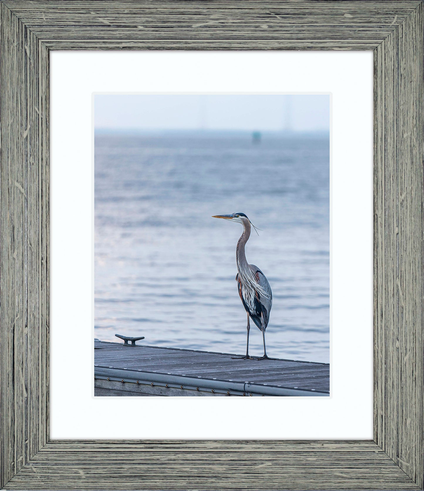 Waiting for a Mate -- Digital Print