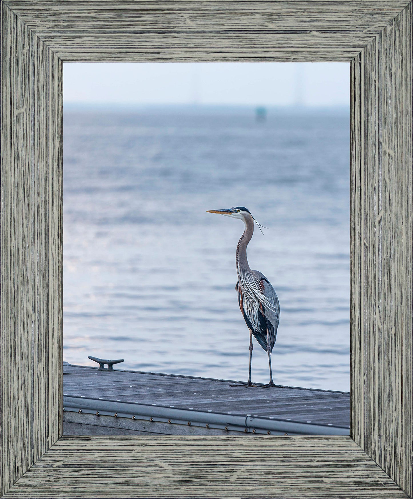 Waiting for a Mate -- Digital Print