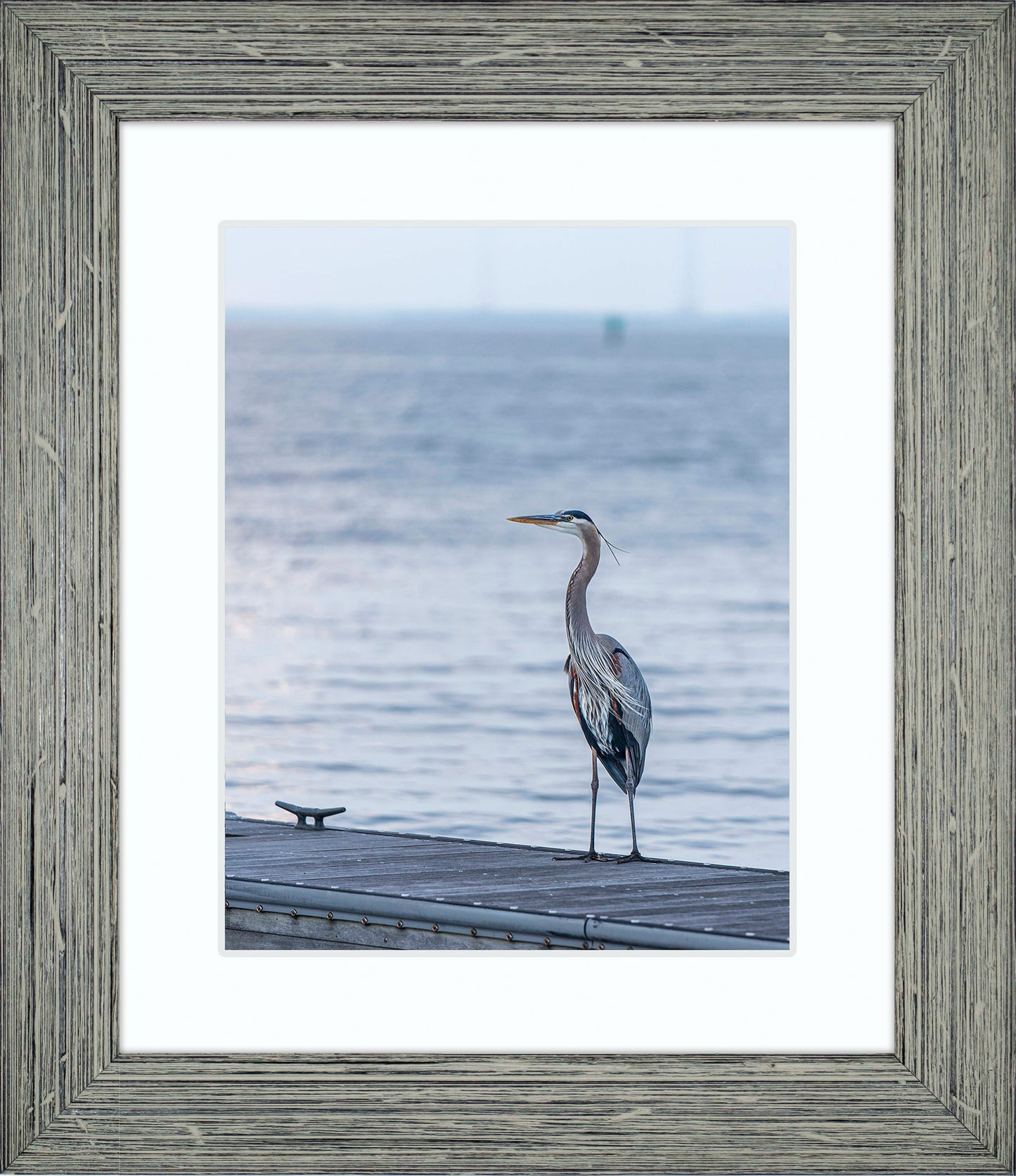 Waiting for a Mate -- Digital Print